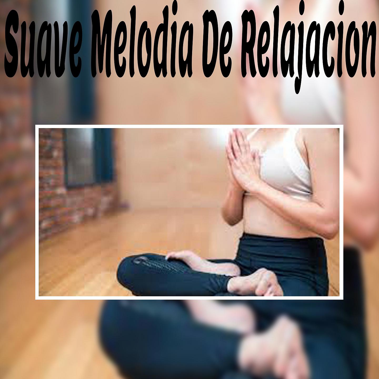 Постер альбома Suave Melodia de Relajacion