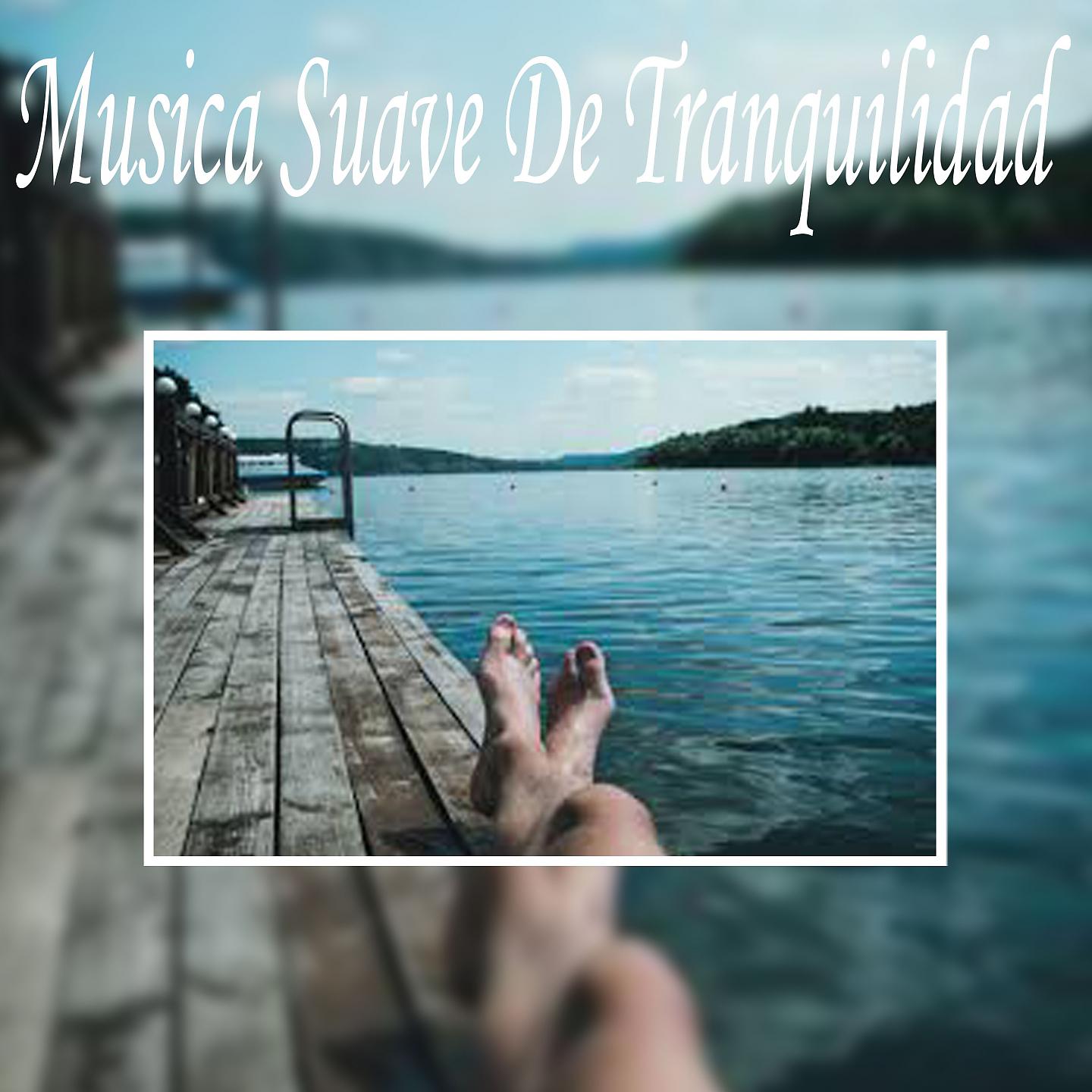 Постер альбома Música Suave De Tranquilidad