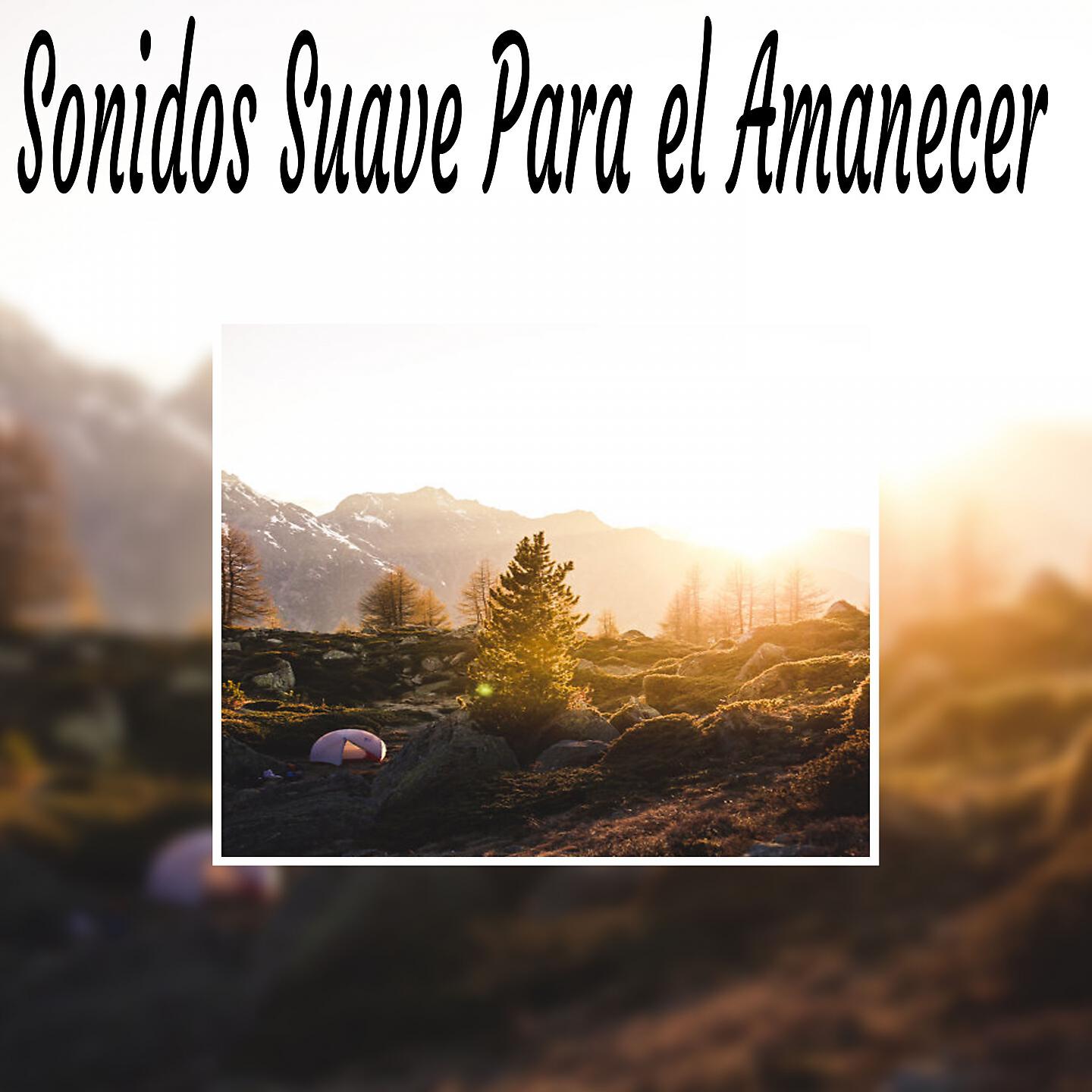Sonidos Suaves - Medita y Libera Tu Mente