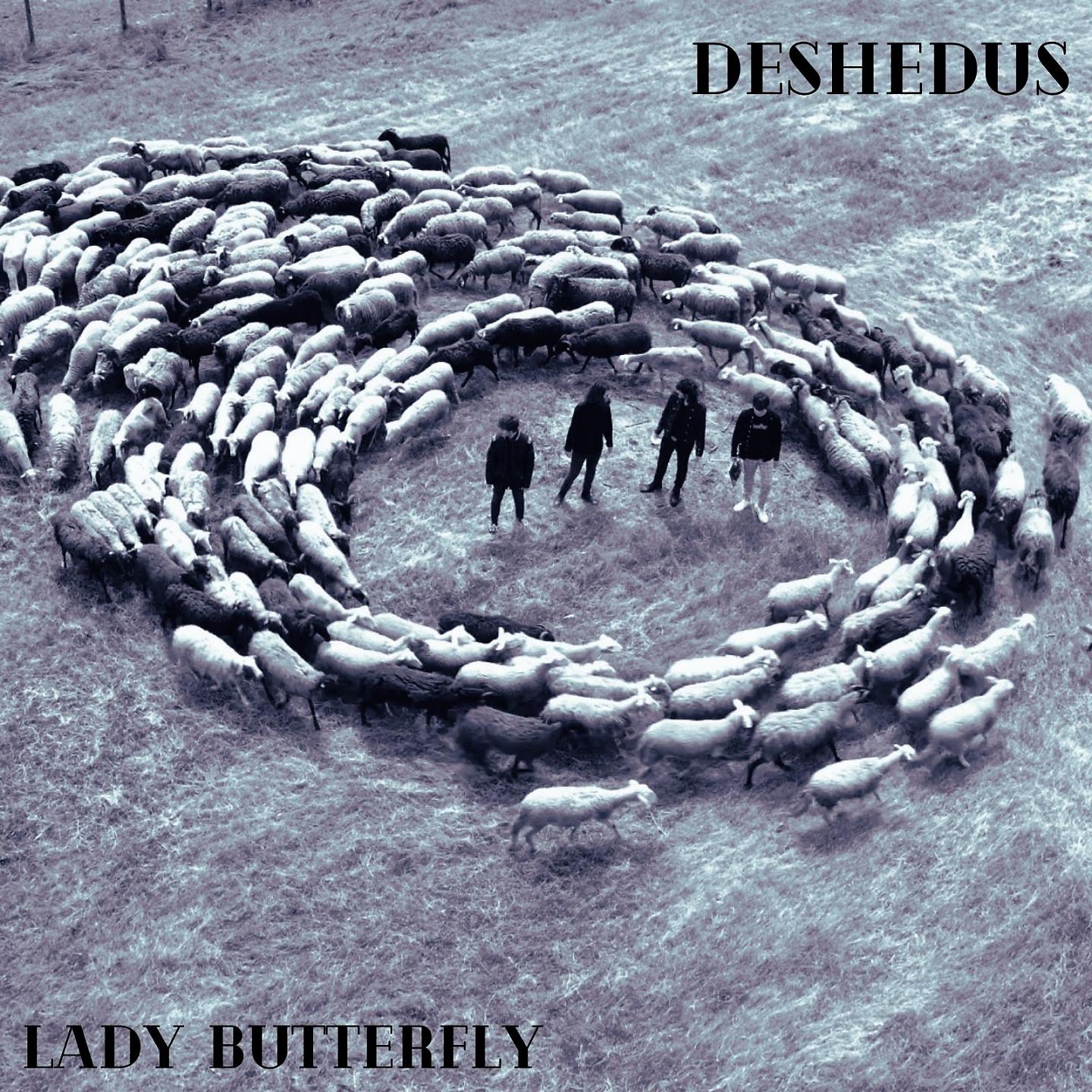 Постер альбома Lady butterfly