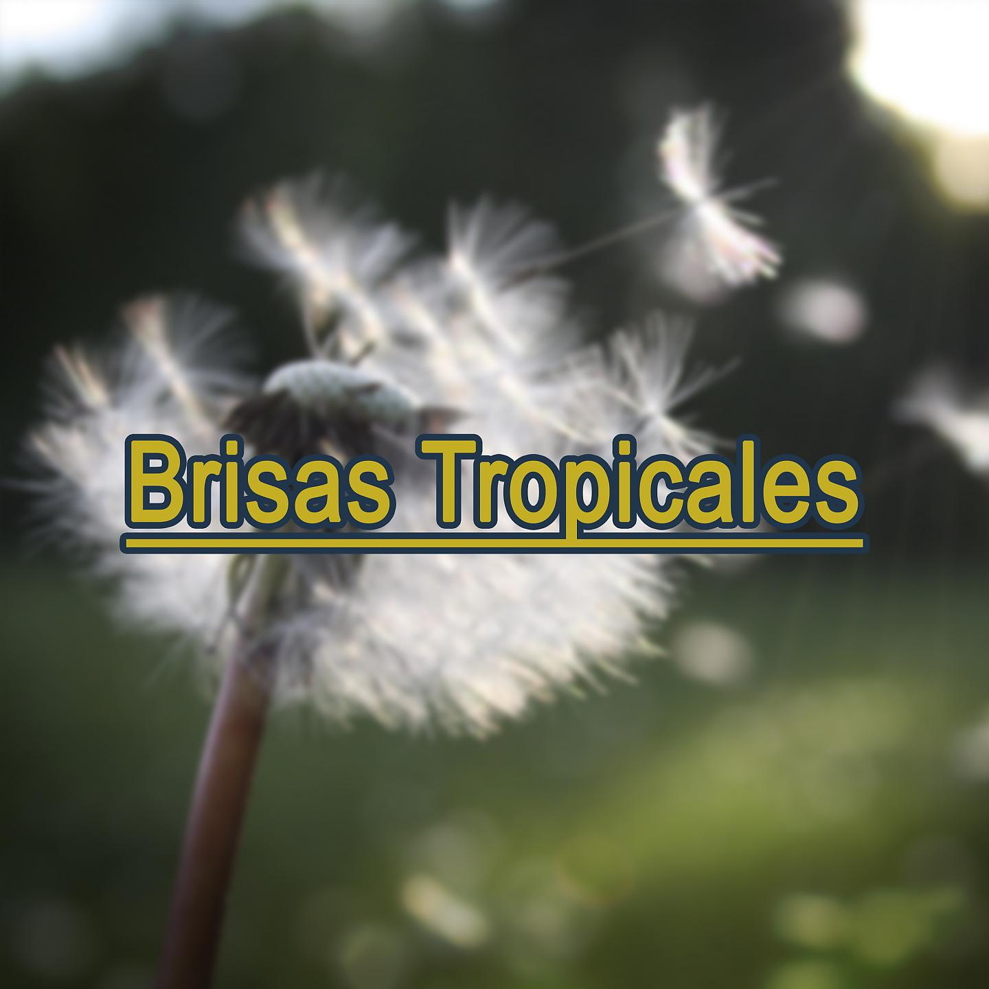 Постер альбома Brisas Tropicales