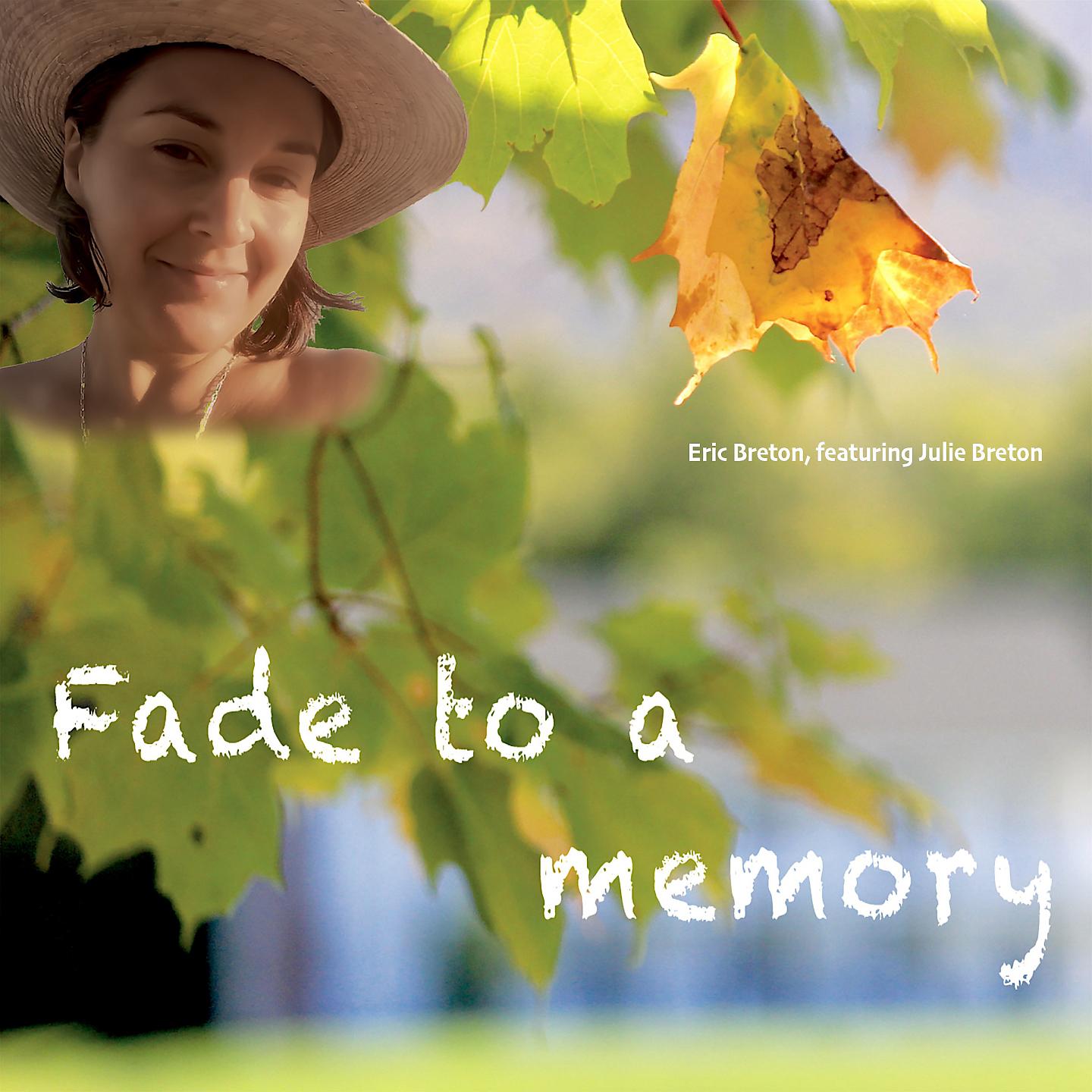 Постер альбома Fade to a Memory