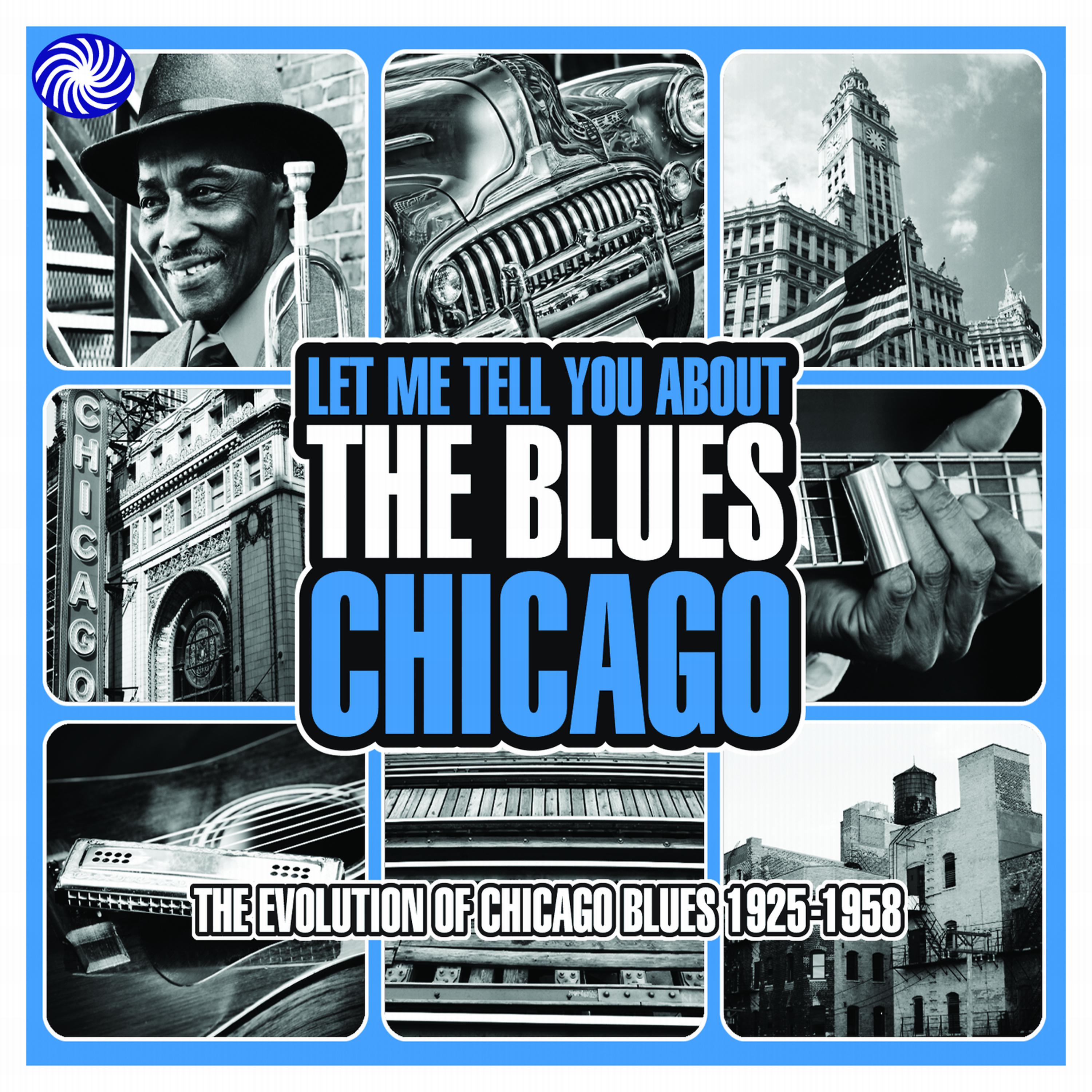 Постер альбома Let Me Tell You About the Blues: Chicago, Pt. 2