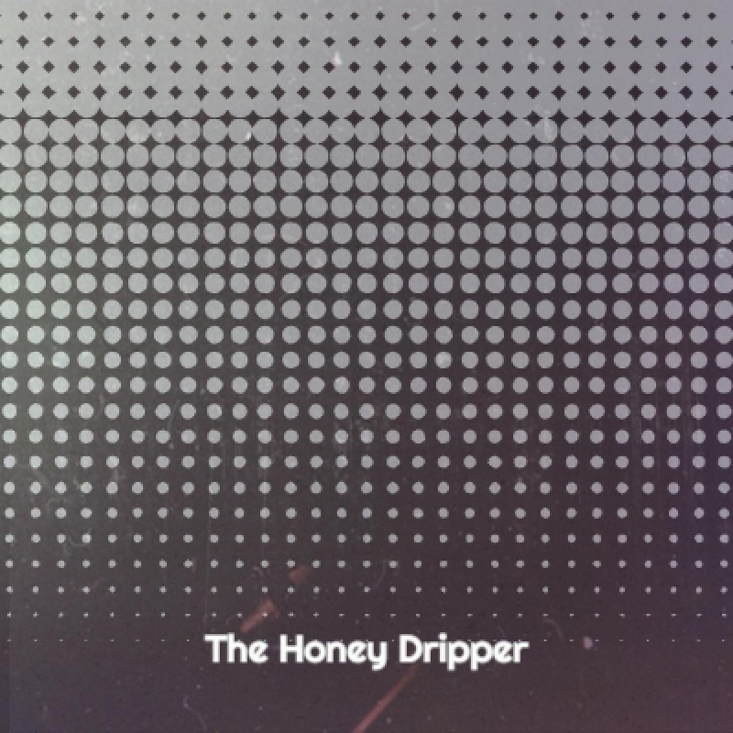 Roosevelt Sykes - The Honey Dripper