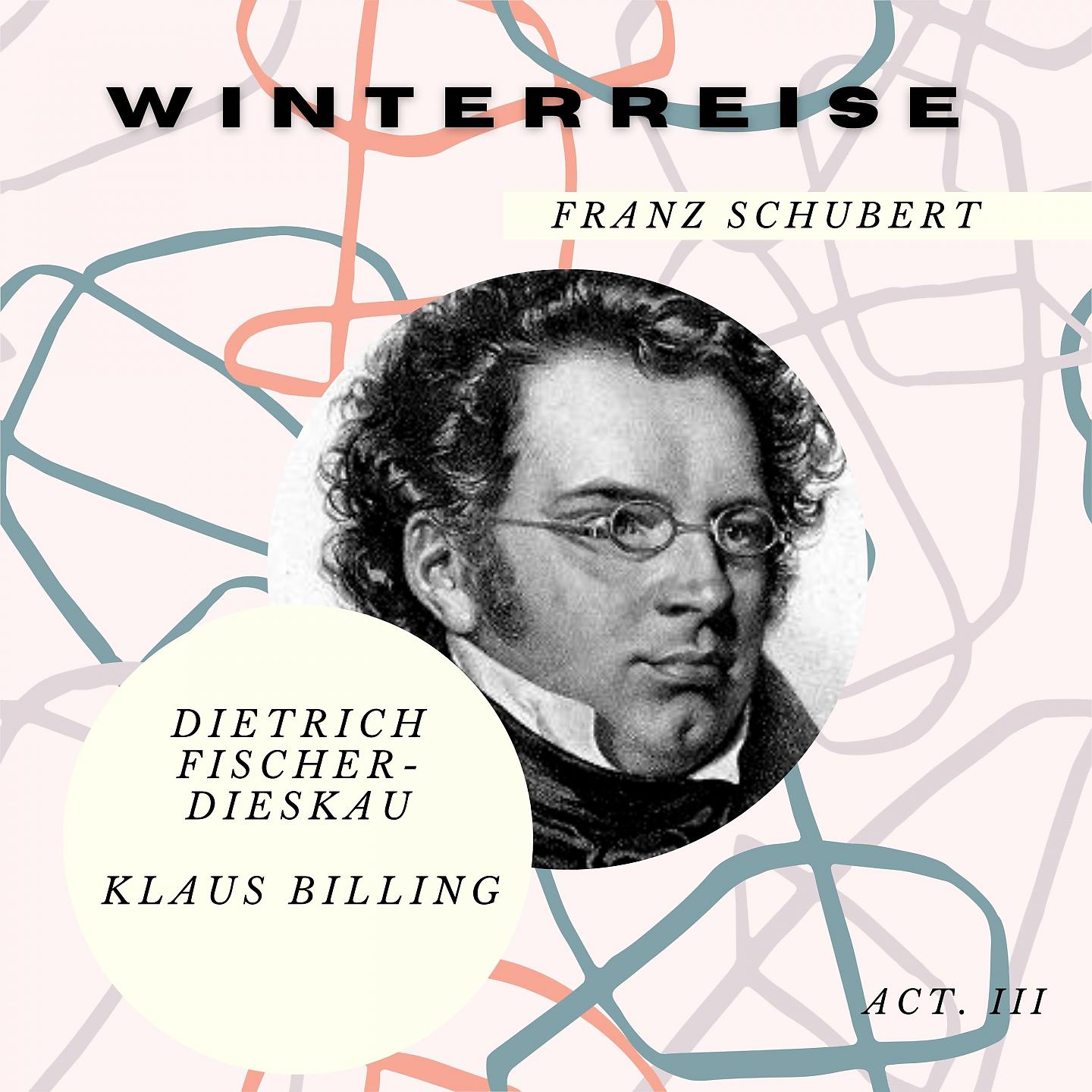 Постер альбома Winterreise - Schubert