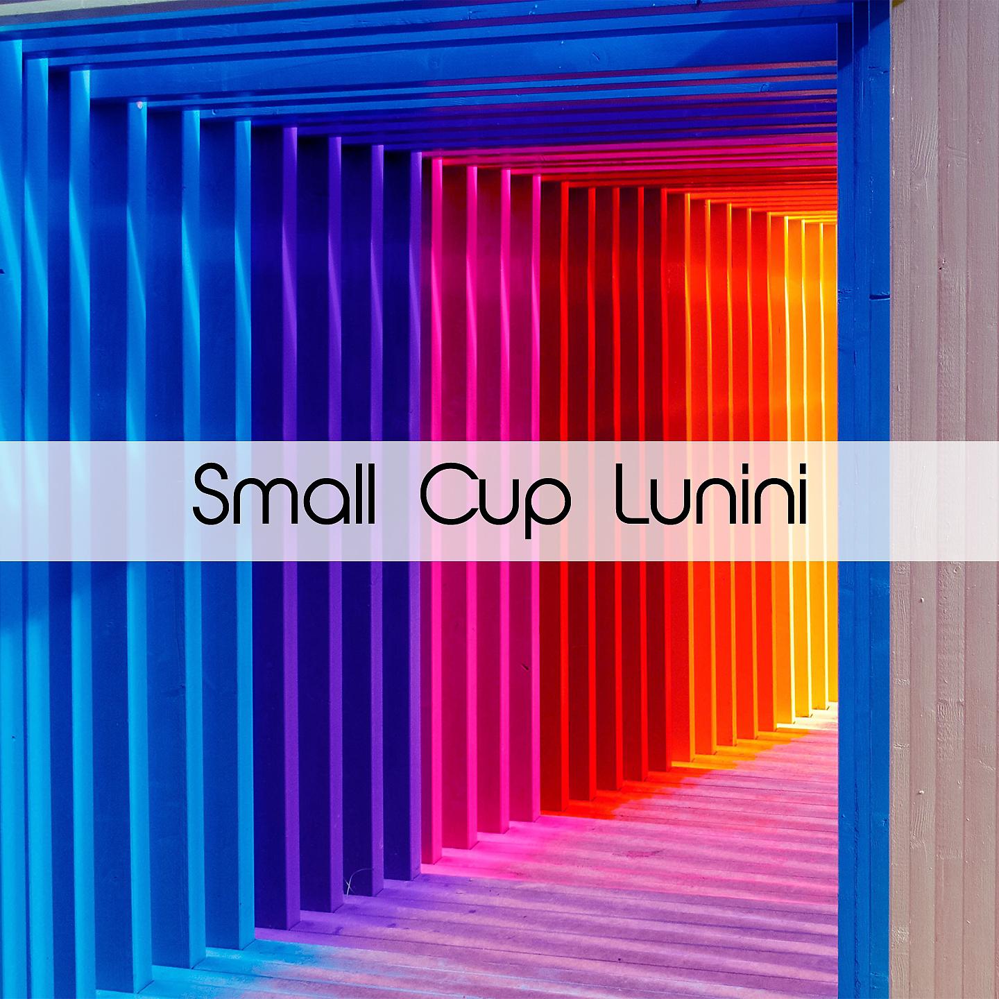 Постер альбома Small Cup Lunini