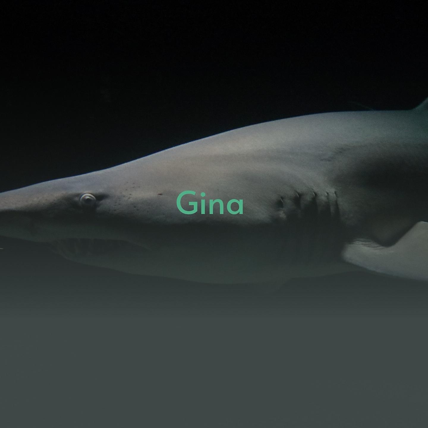 Постер альбома Gina