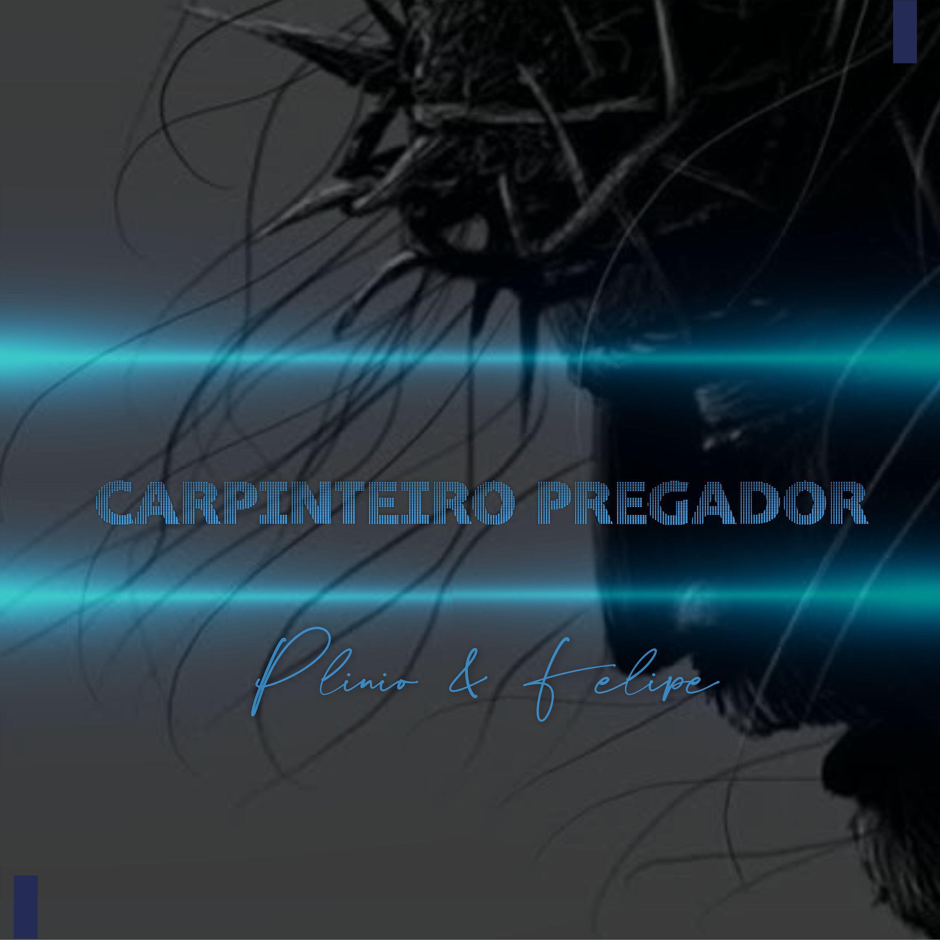 Plinio Soares - Carpinteiro Pregador