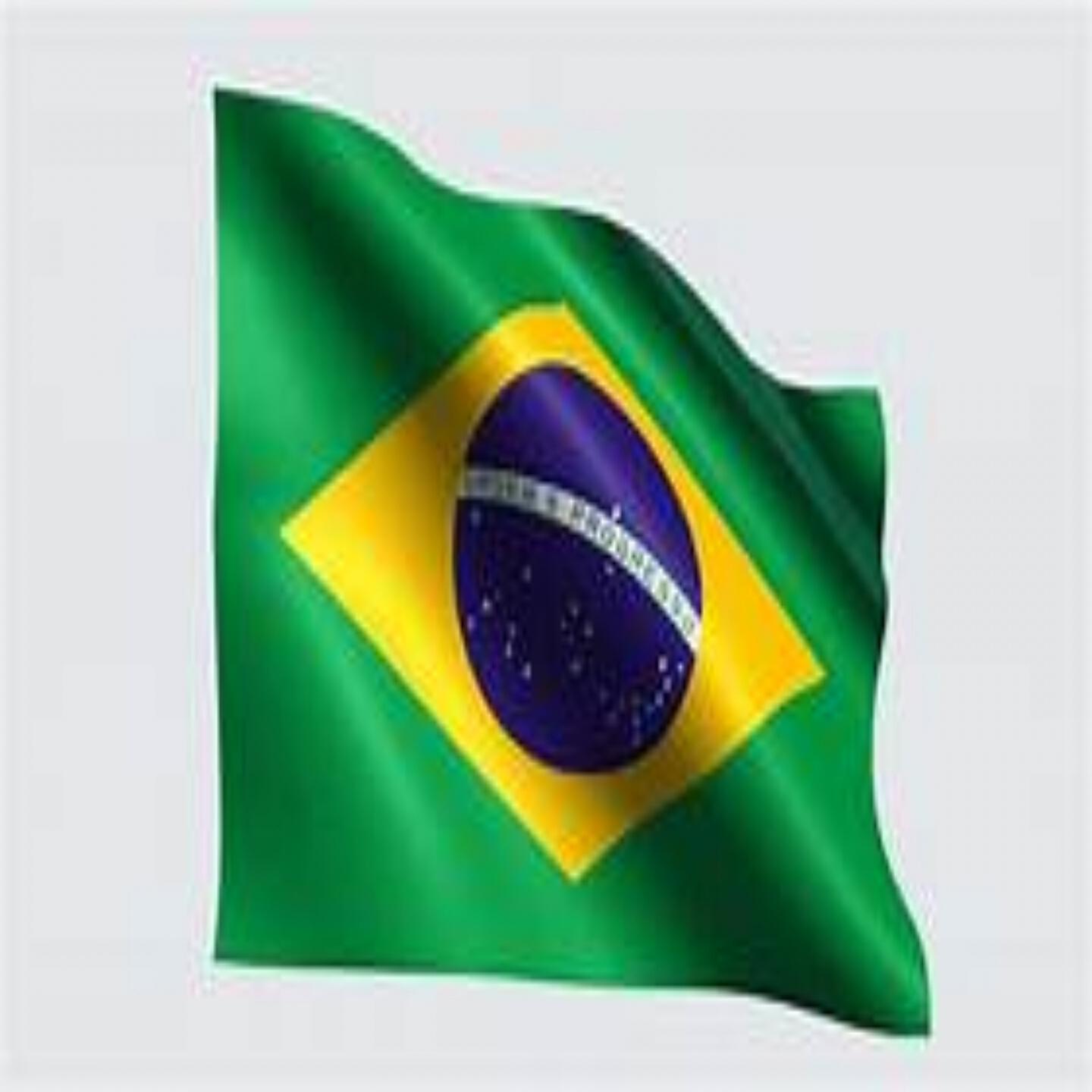 Perreo Brasileño - Perreo Intenso Brasileño