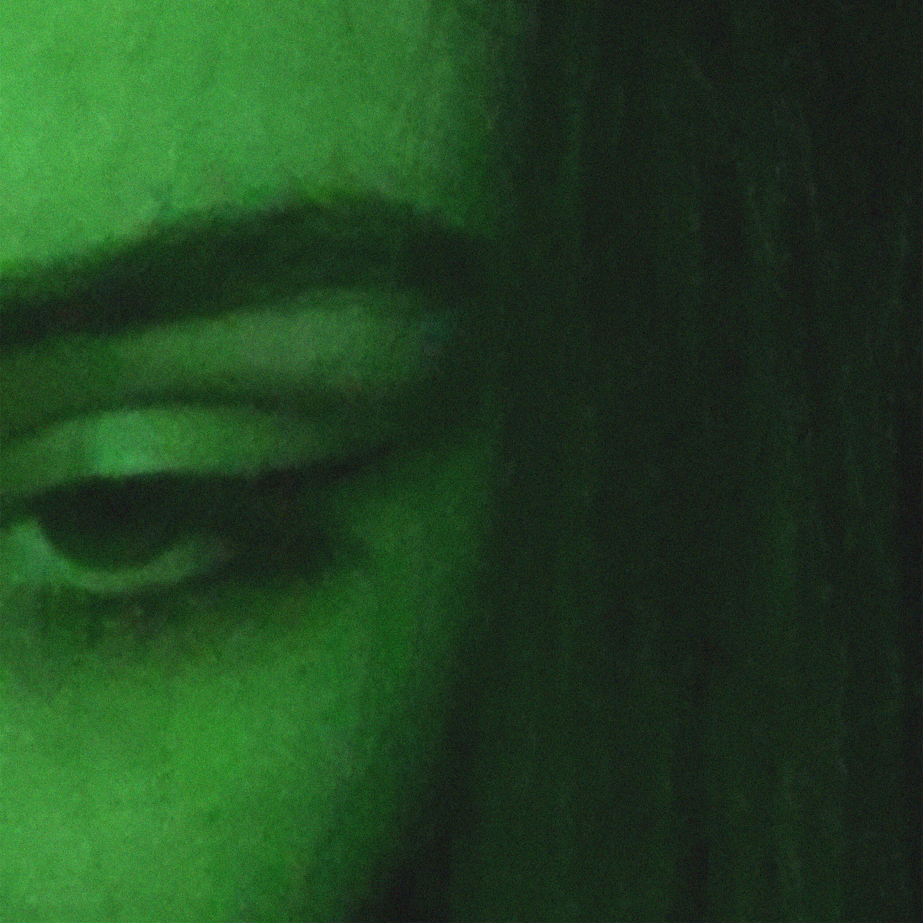 Глаз лизы face