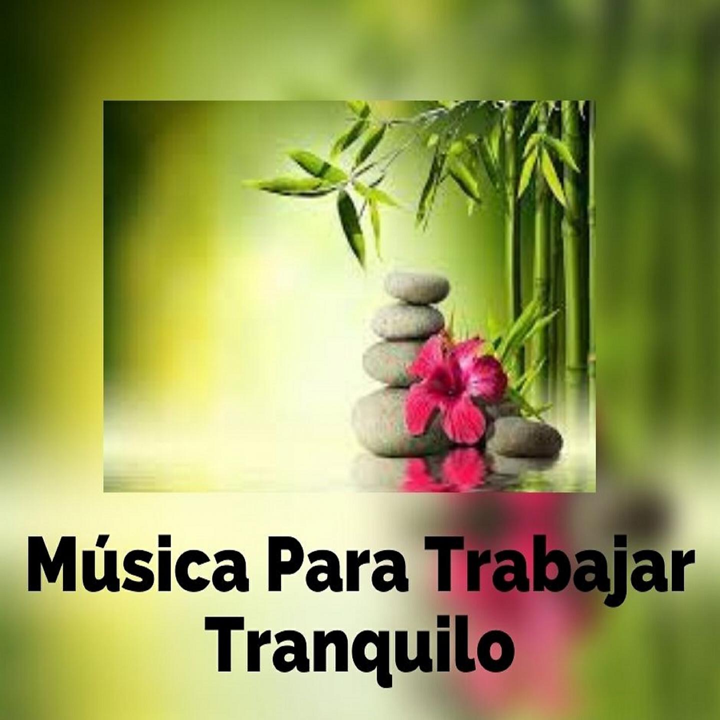 Musica Suave - Posturas de Yoga para Principiantes