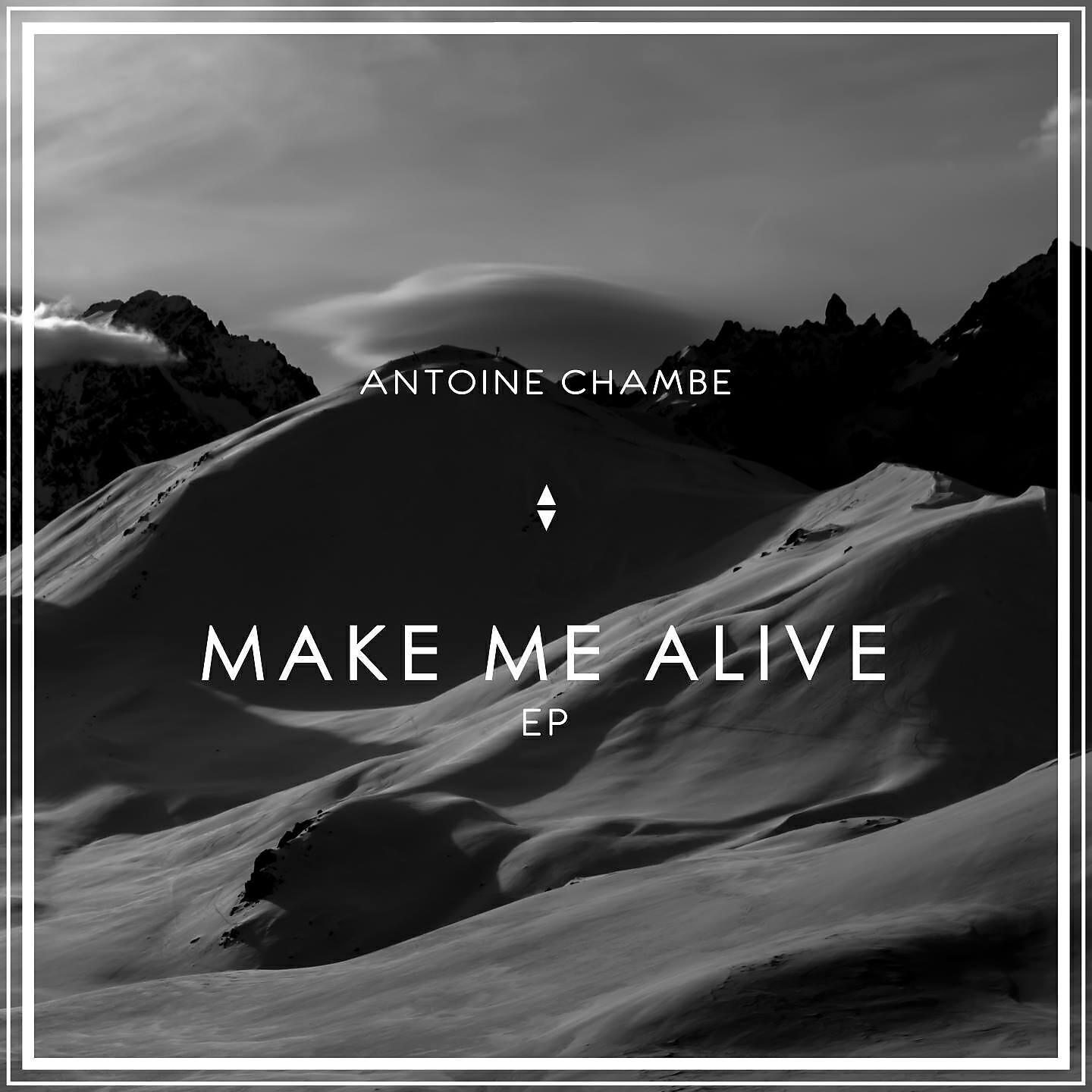 Antoine Chambe - Make Me Alive (Dreyer Remix)