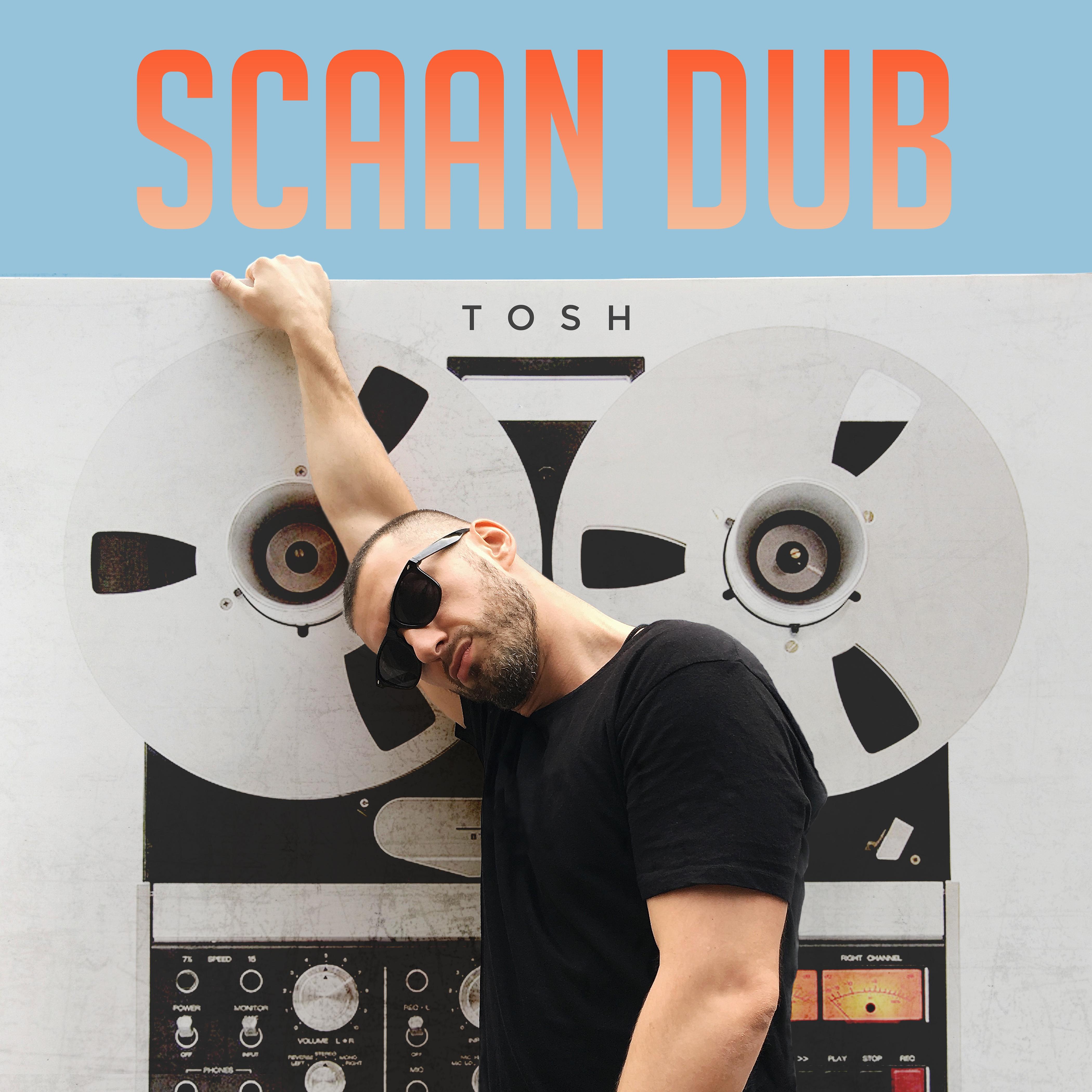 Постер альбома Scaan Dub