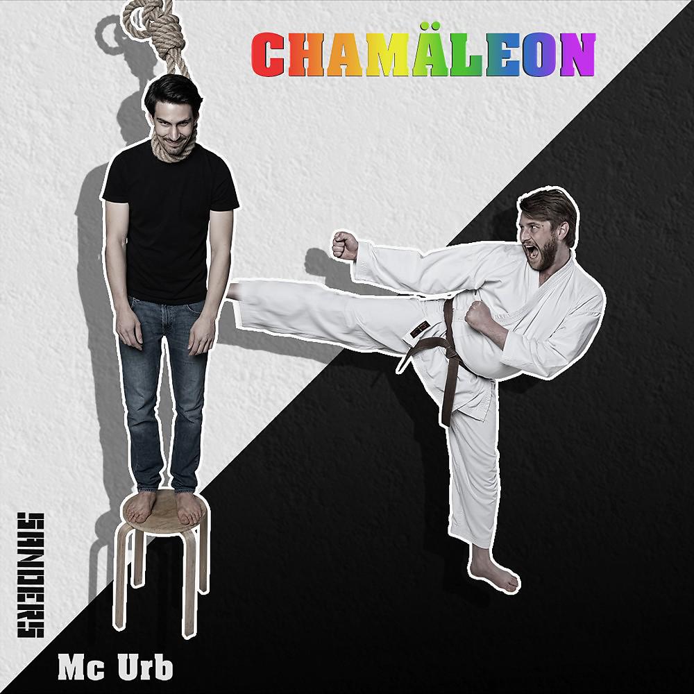 Постер альбома Chamäleon