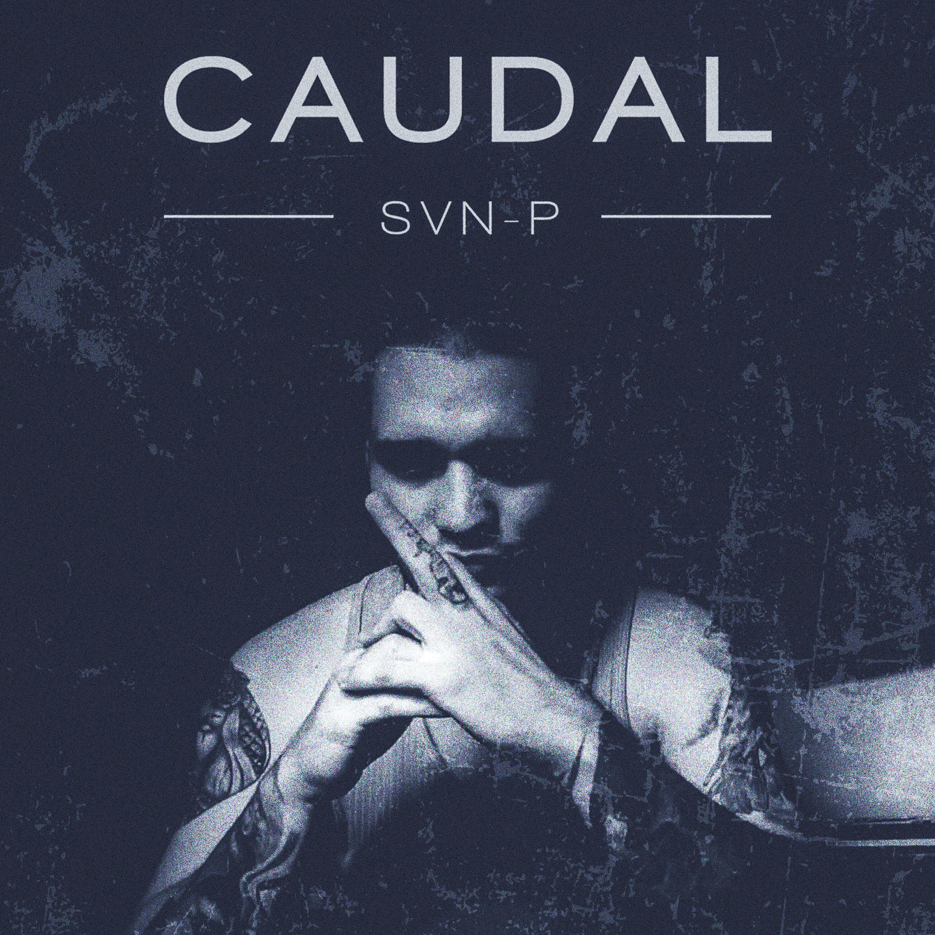 SVN-P - Caudal