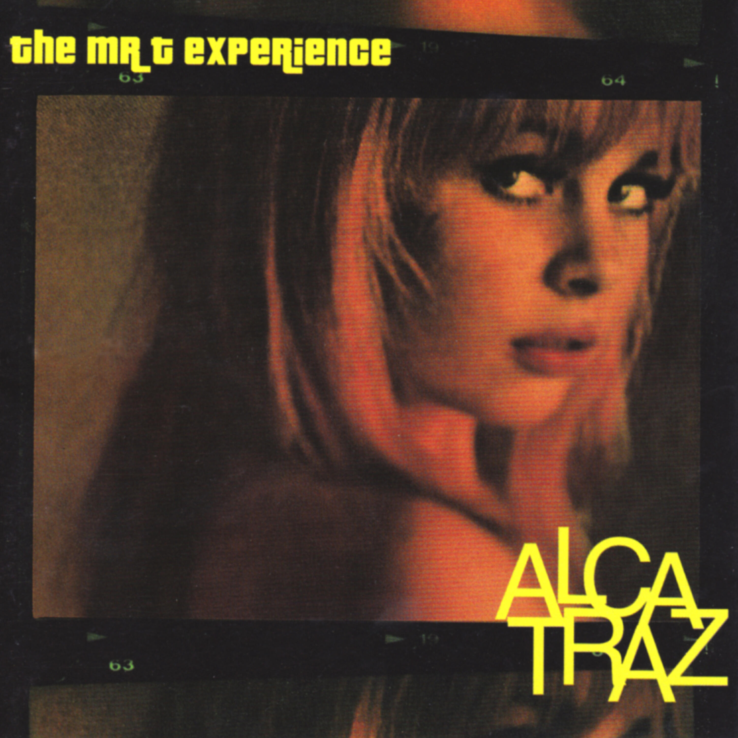 The Mr. T Experience - Self Pity
