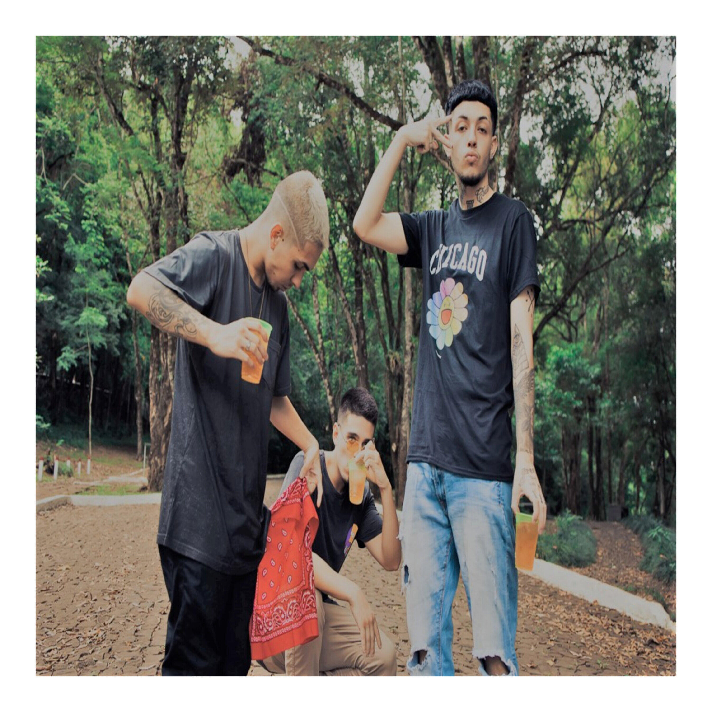 BDG GVNG - Tendência