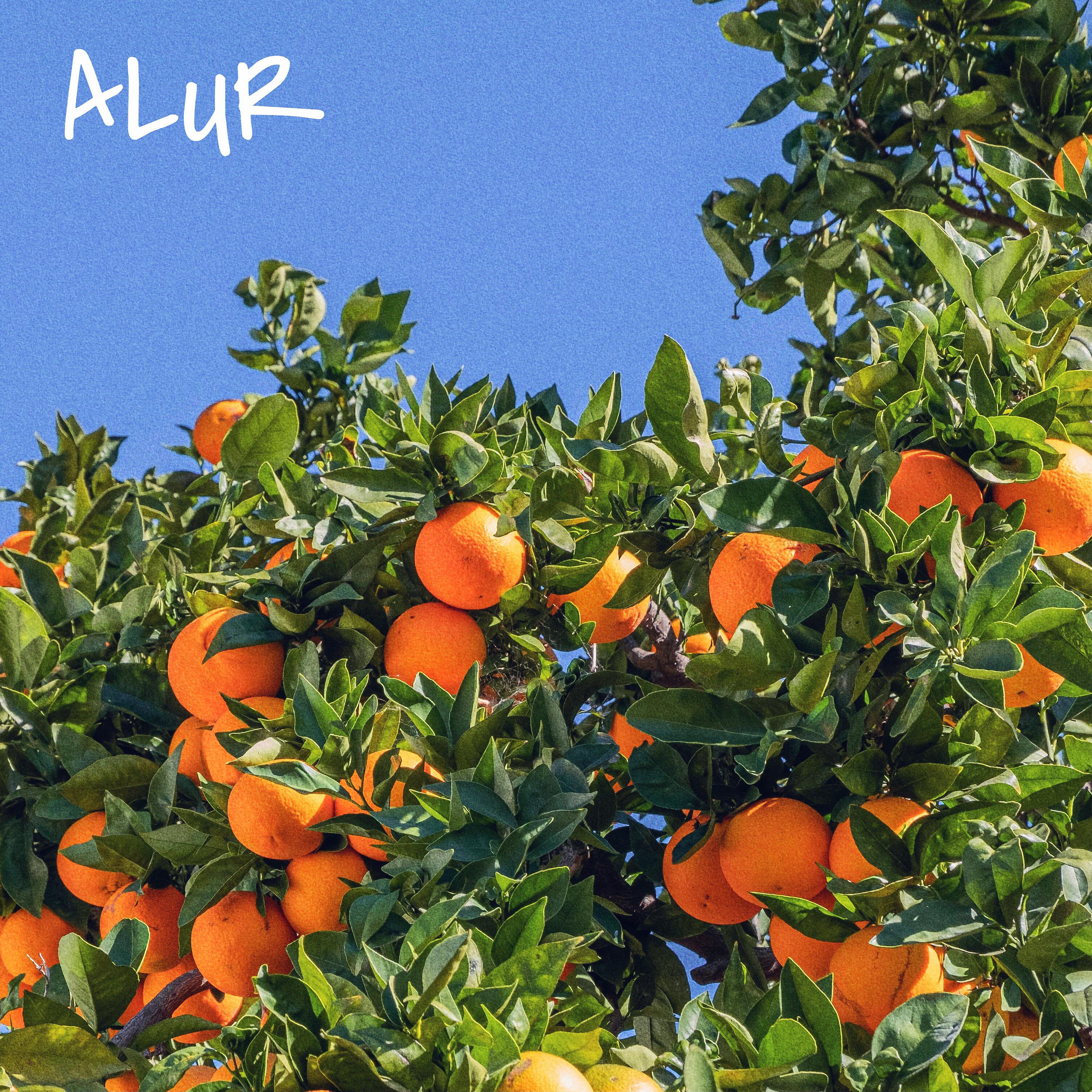 ALUR - Теряю