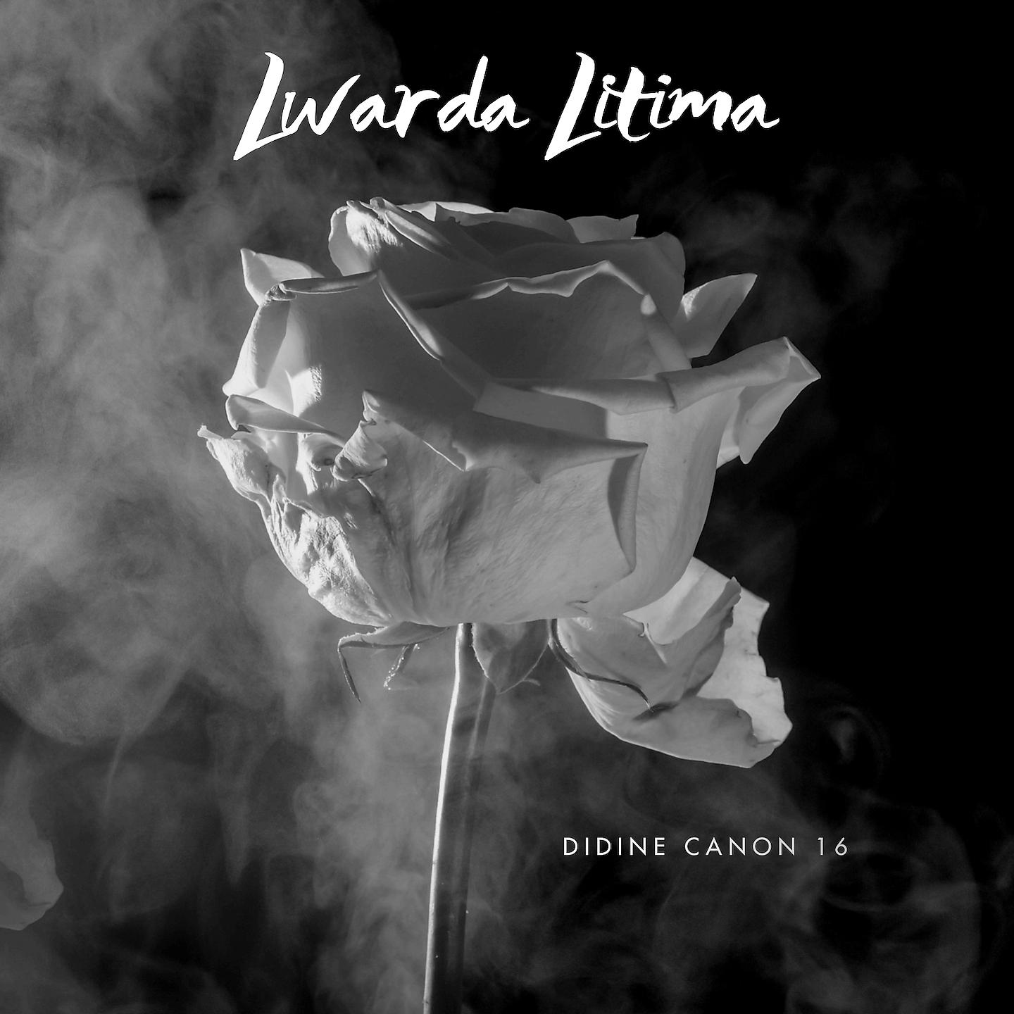 Постер альбома Lwarda Litima