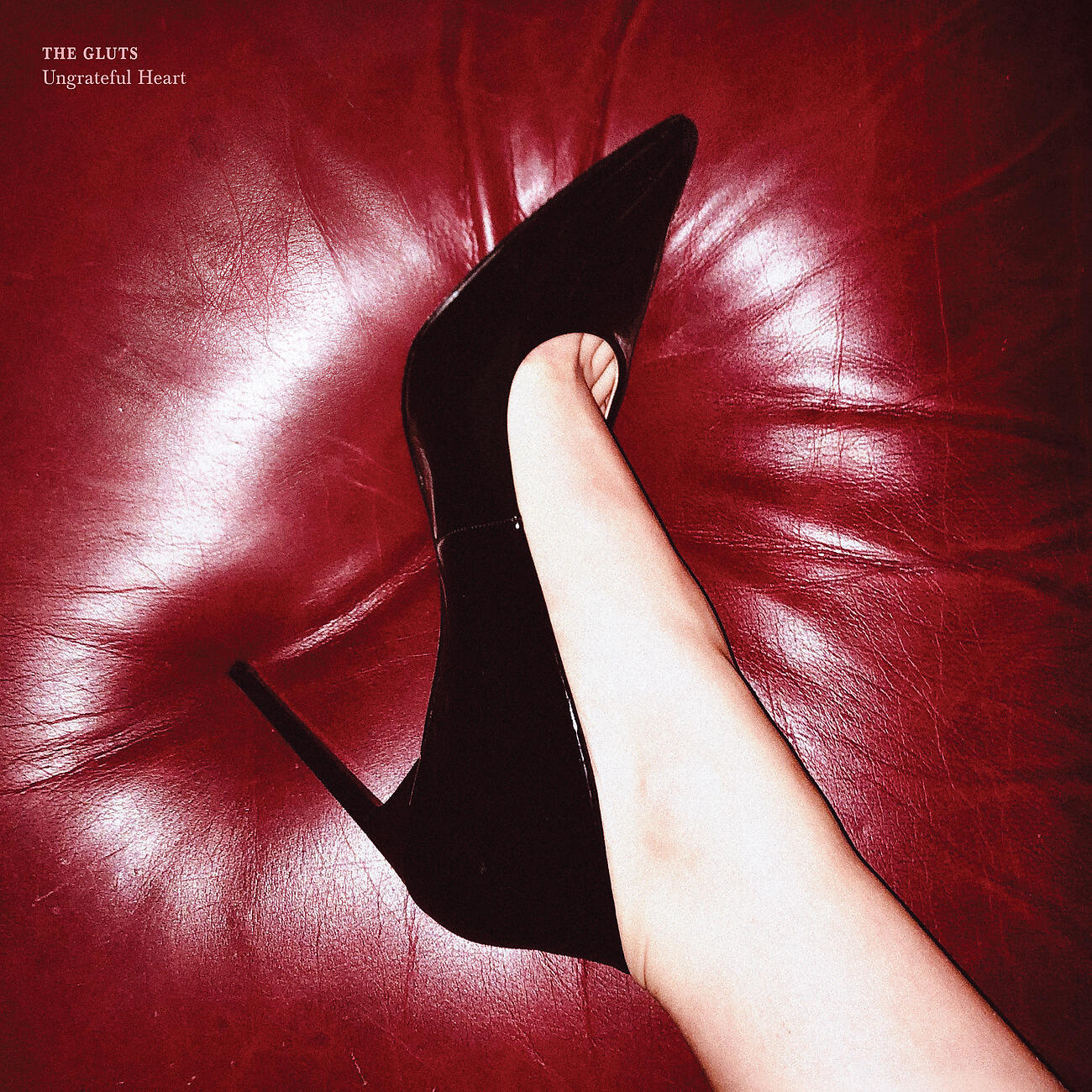 The Gluts - Ciotola di Satana