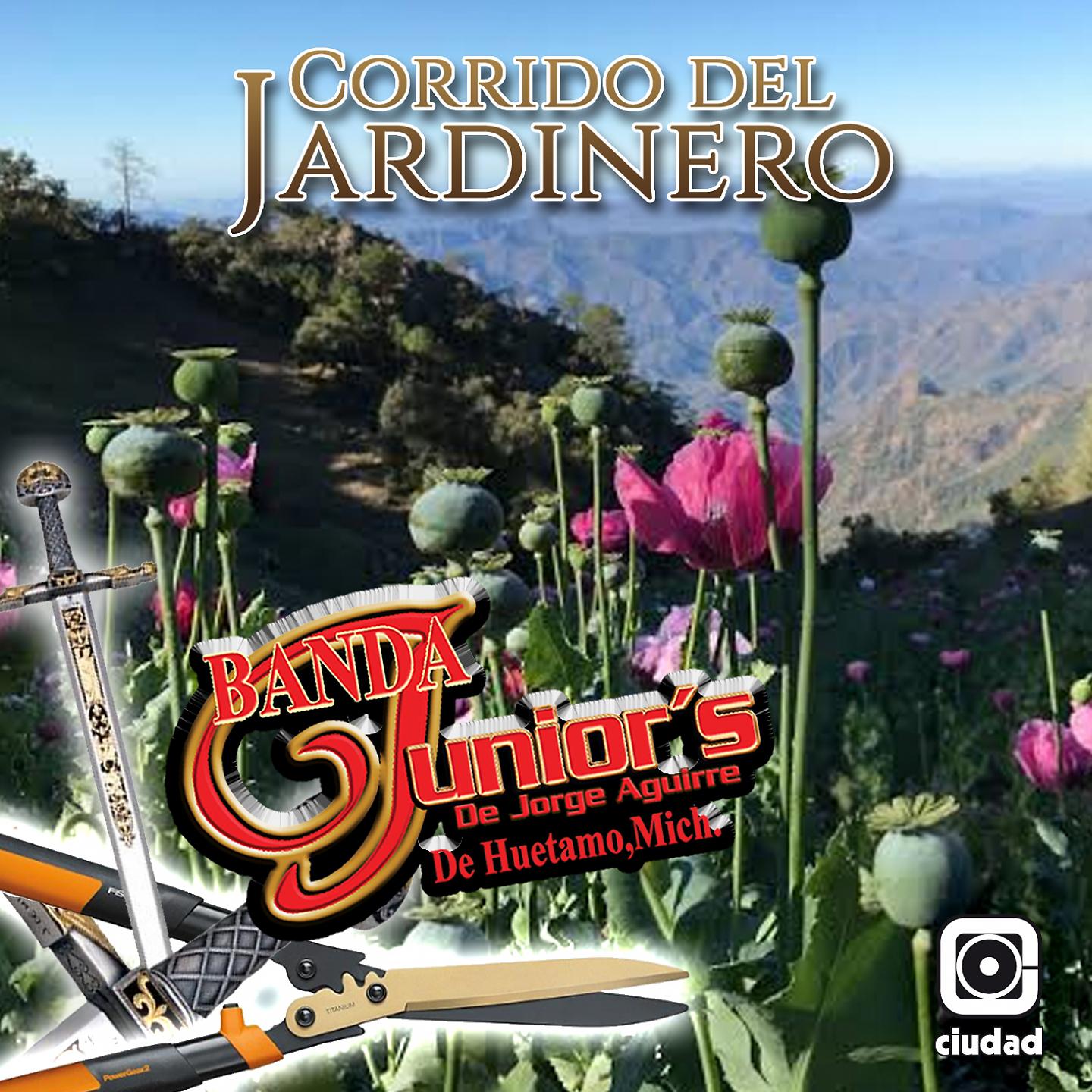 Постер альбома Corrido del Jardinero