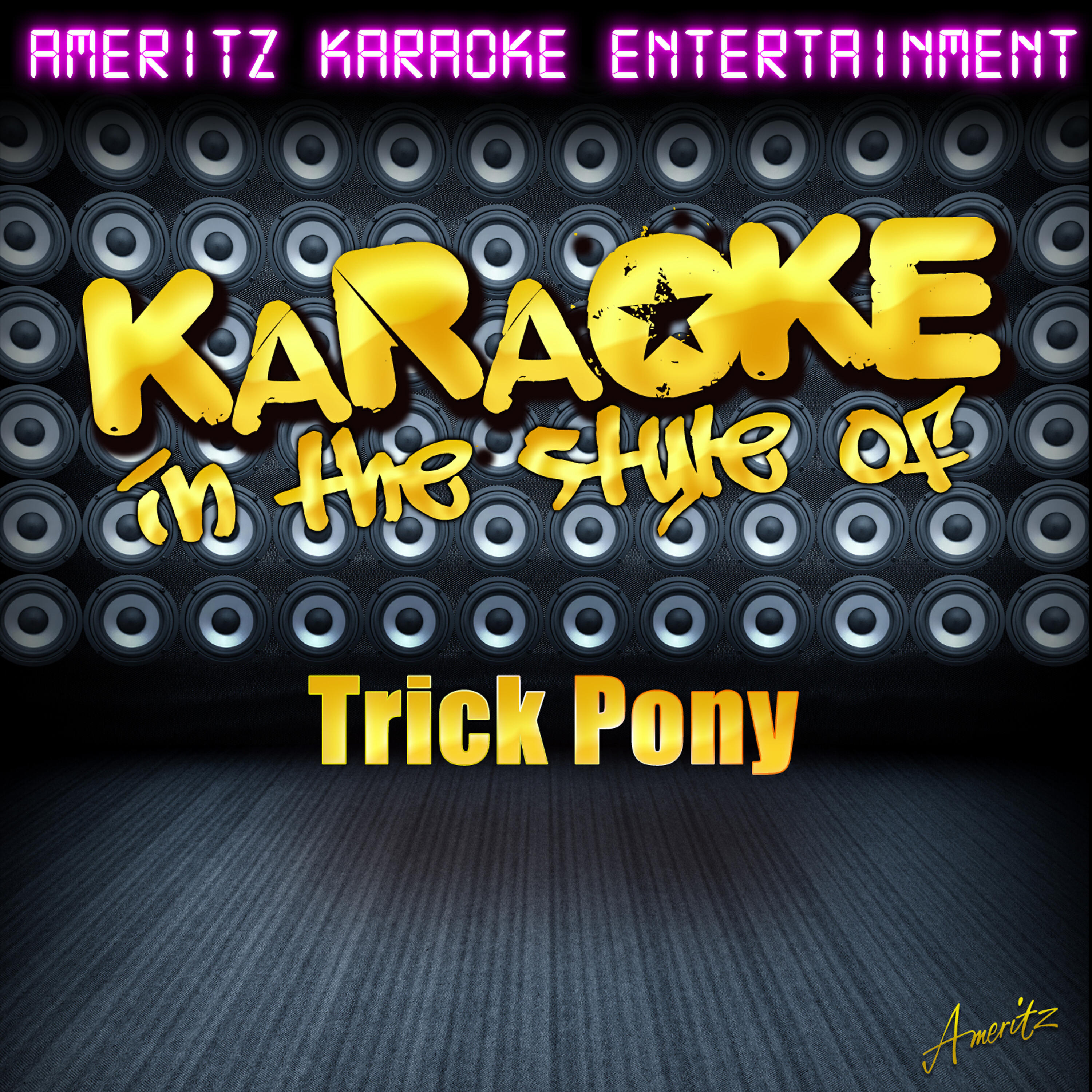 Ameritz Karaoke Entertainment - Just What I Do (In the Style of Trick Pony) [Karaoke Version]