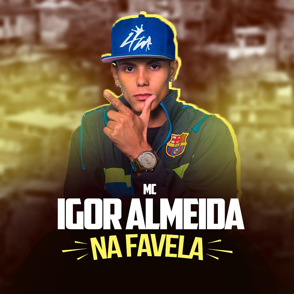 Постер альбома Na Favela