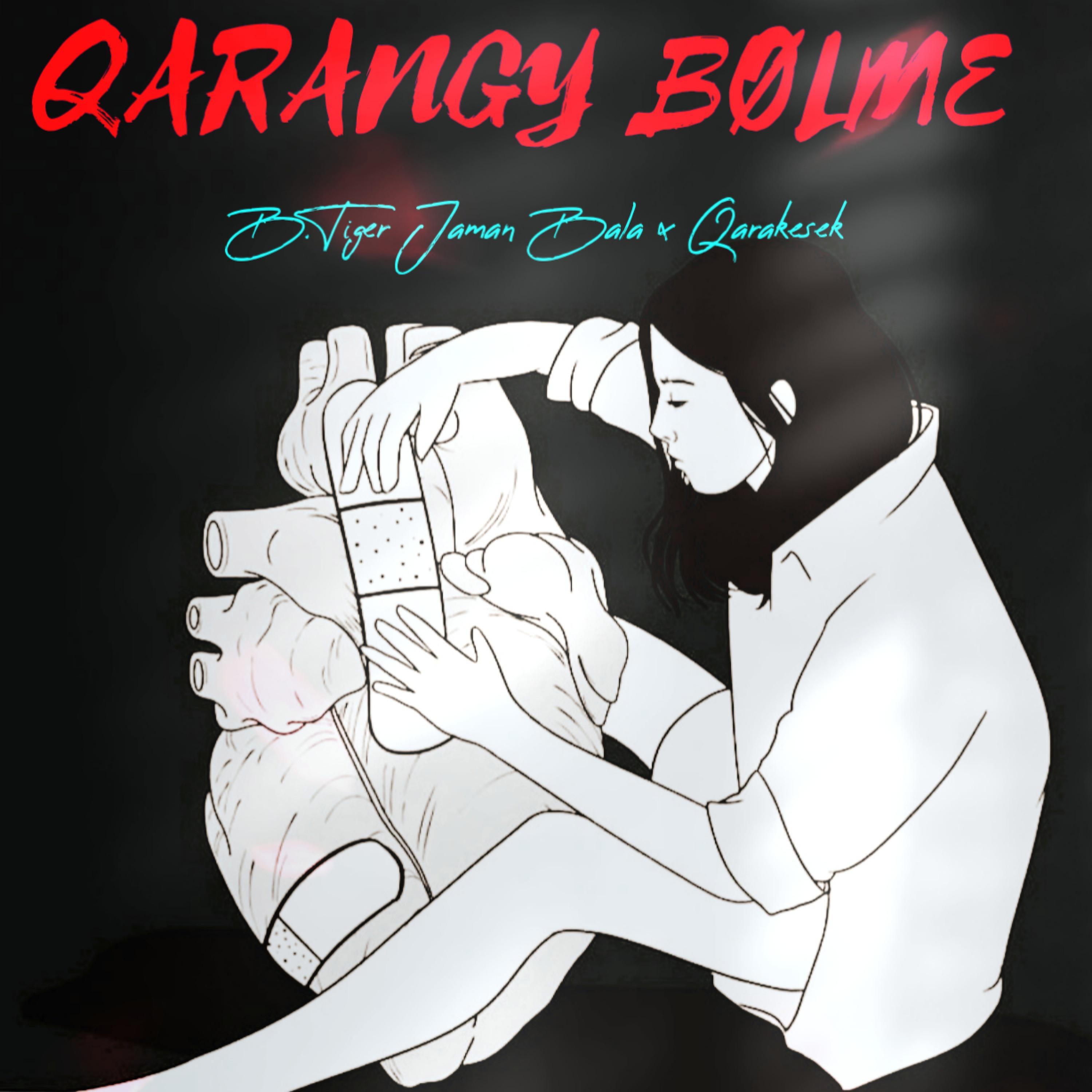 Постер альбома Qarangy Bolme