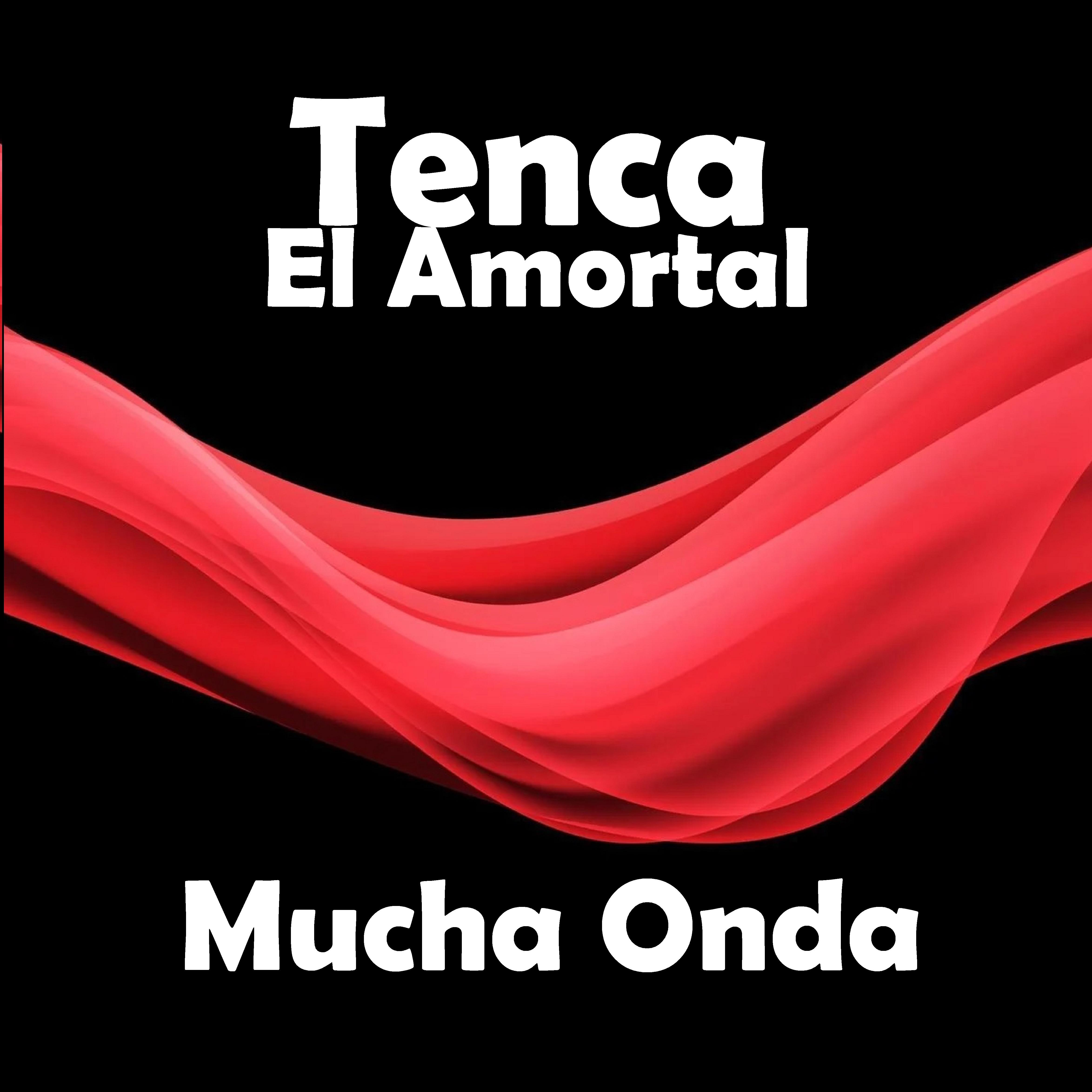 Постер альбома Mucha Onda