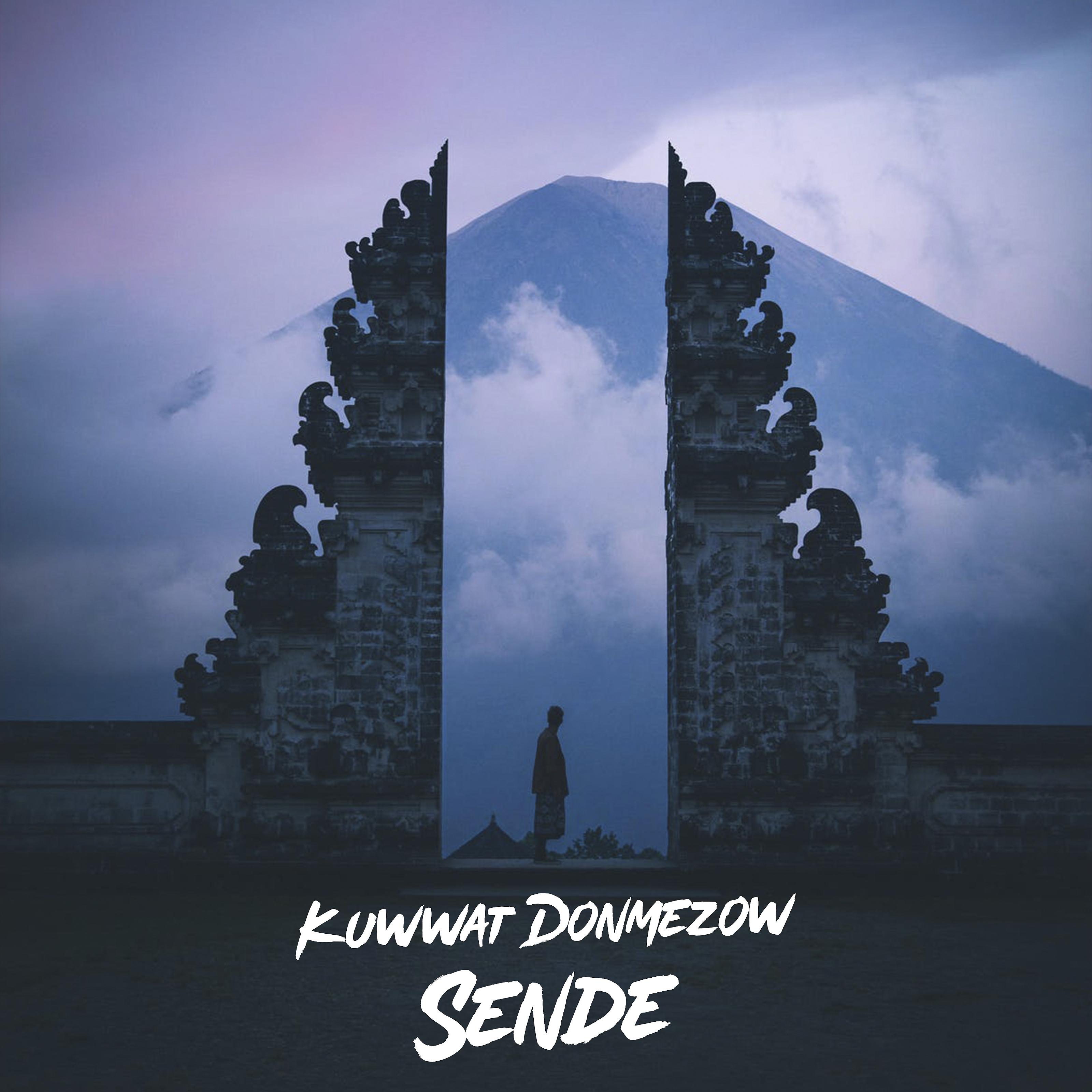 Постер альбома Sende