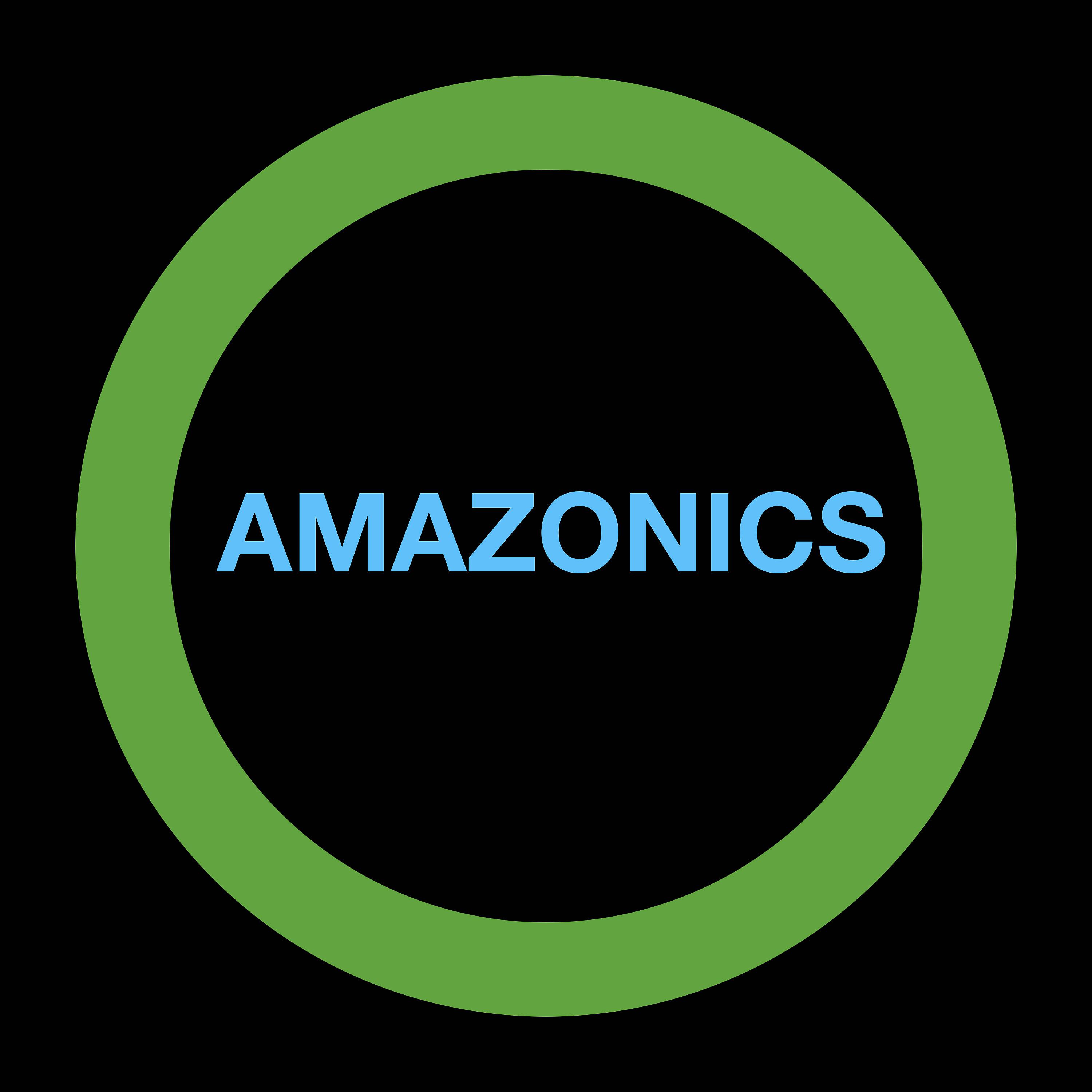 Постер альбома Amazonics