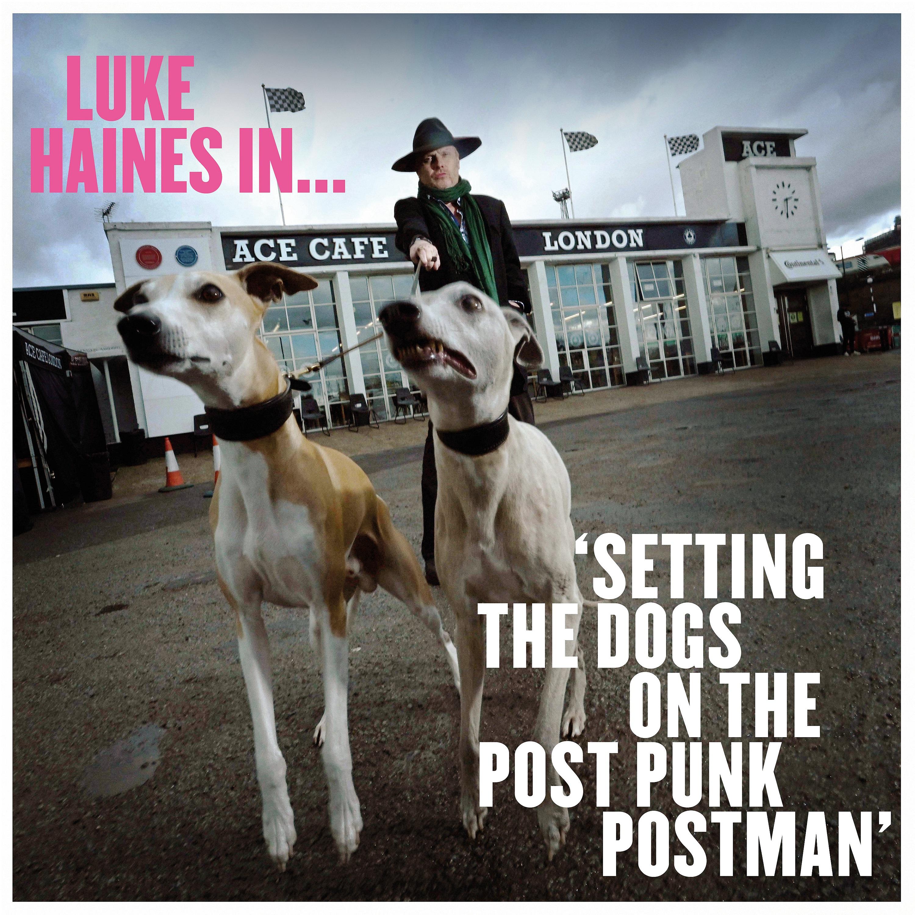 Постер альбома Setting The Dogs On The Post Punk Postman