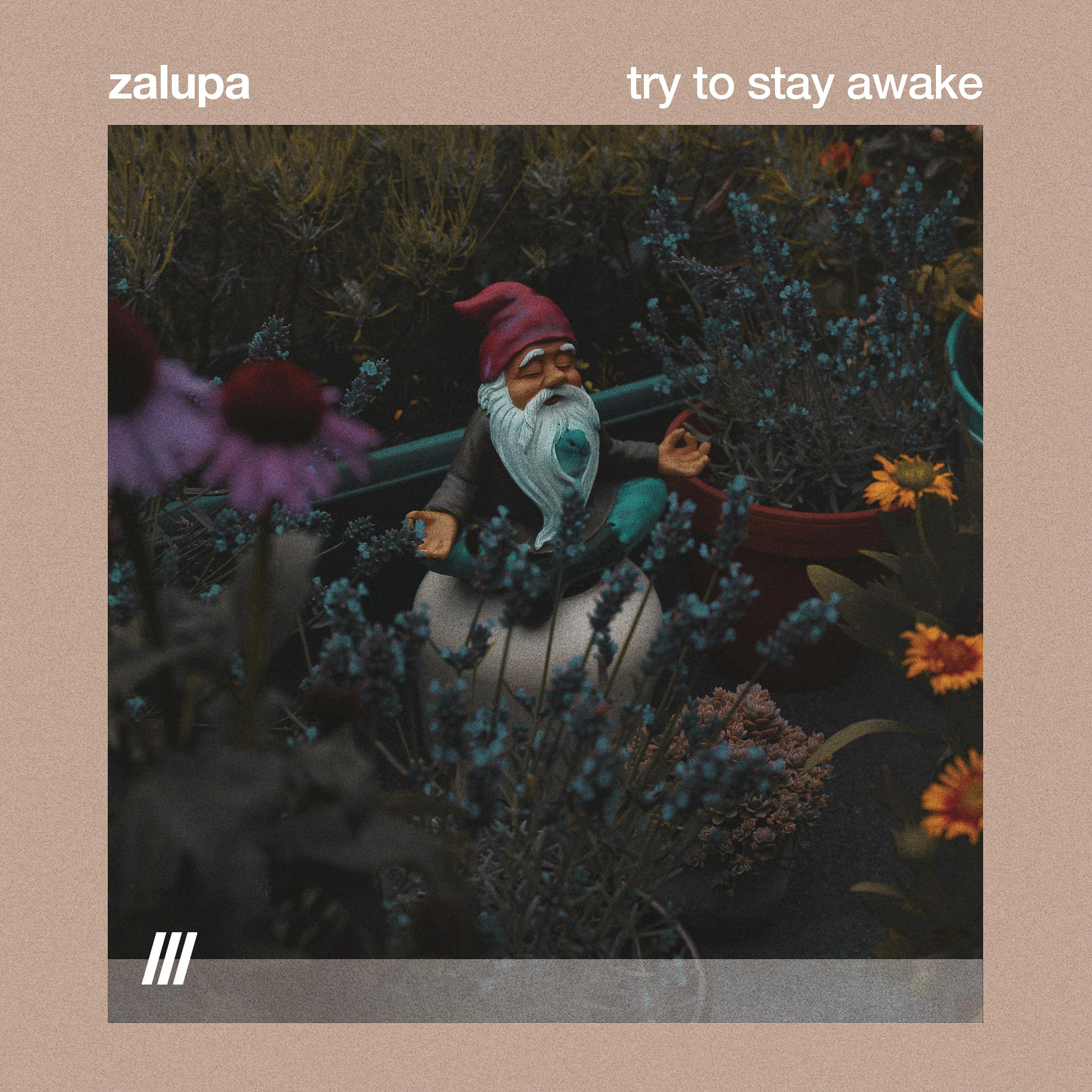Постер альбома Try To Stay Awake