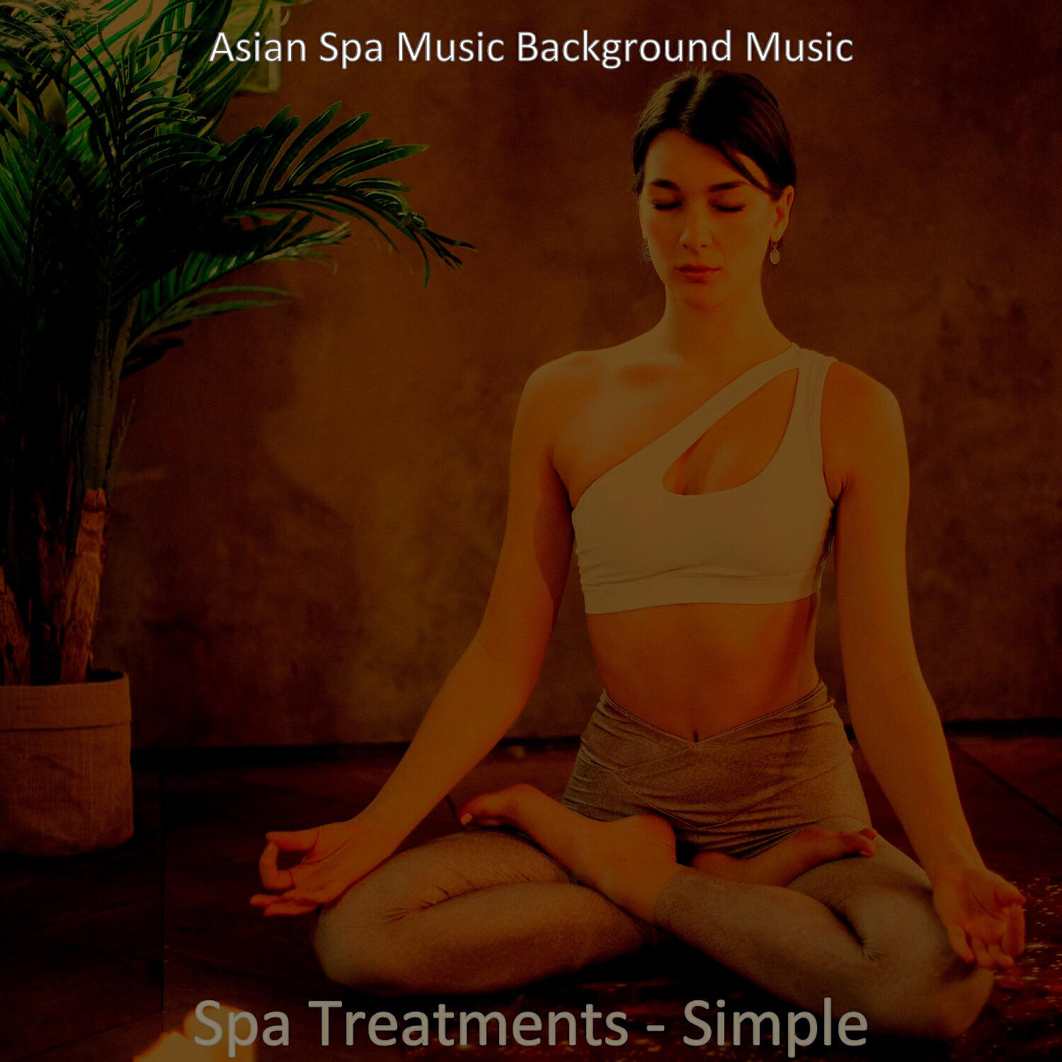 Asian Spa Music Background Music - Ambience (Spa Treatments)