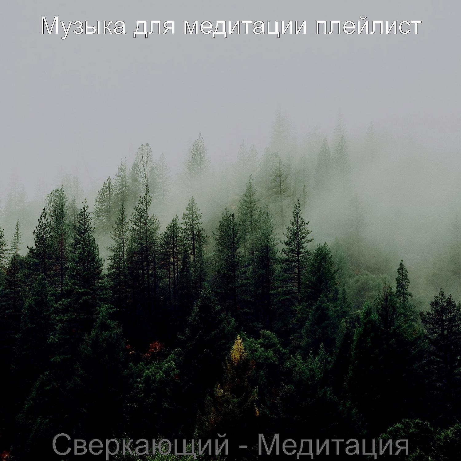 Постер альбома Сверкающий - Медитация