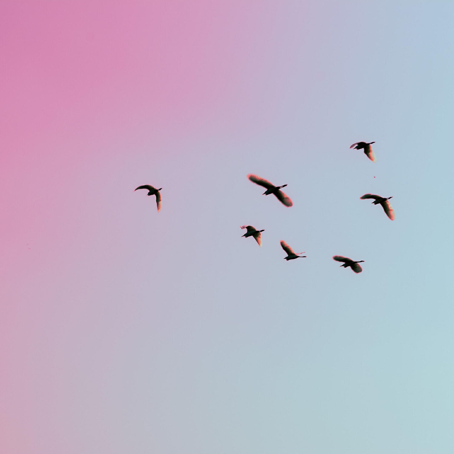 Nature Therapy - Soothing Noise
