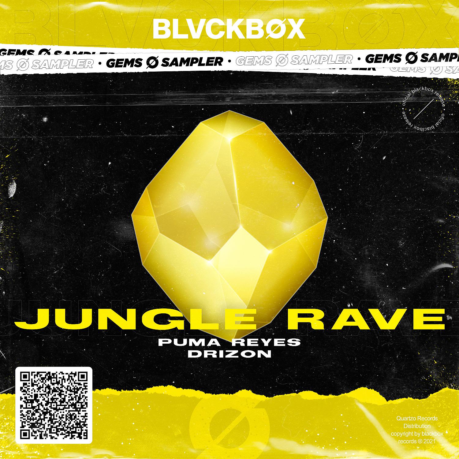Постер альбома Jungle Rave