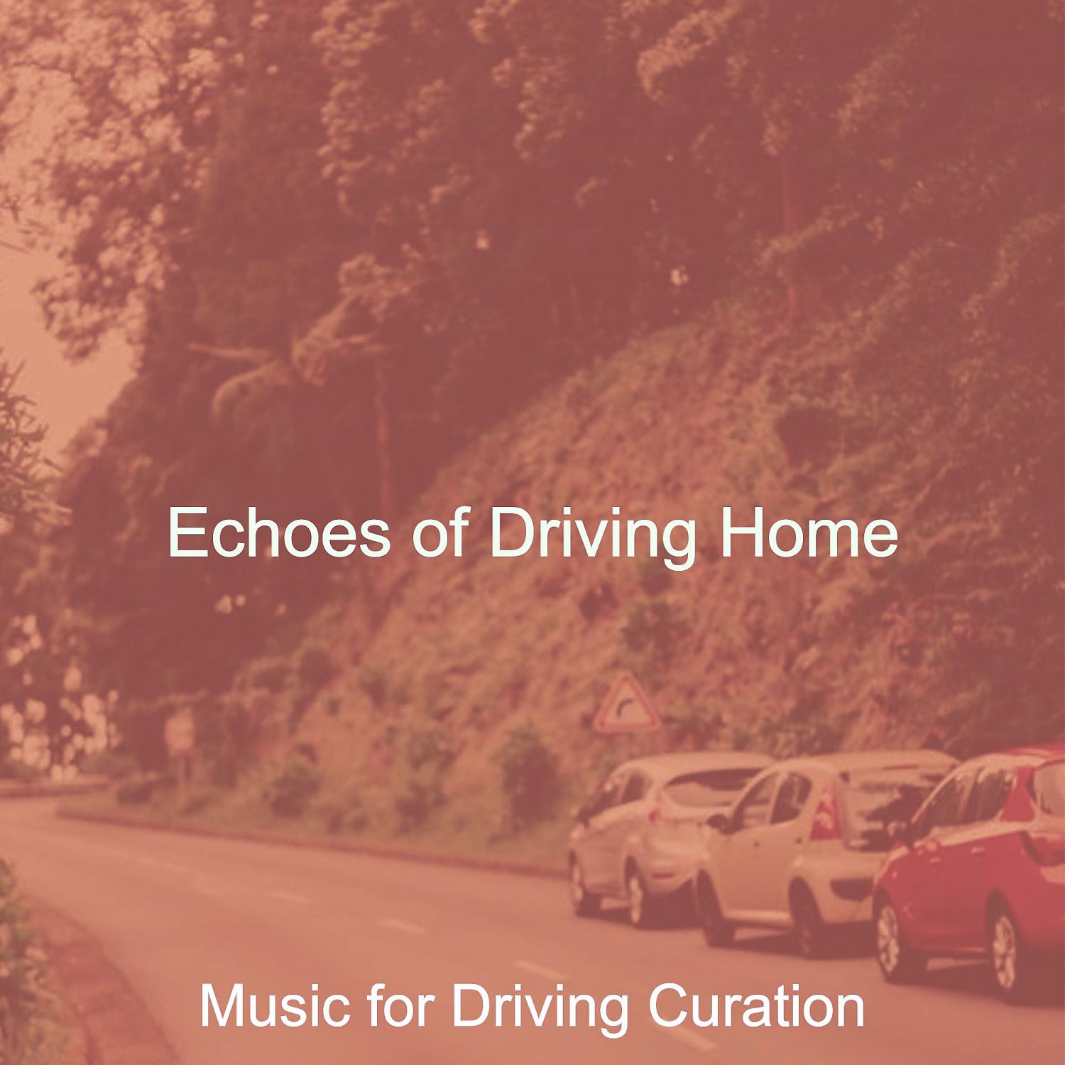 Music for Driving Curation - Sparkling Ambience for Driving