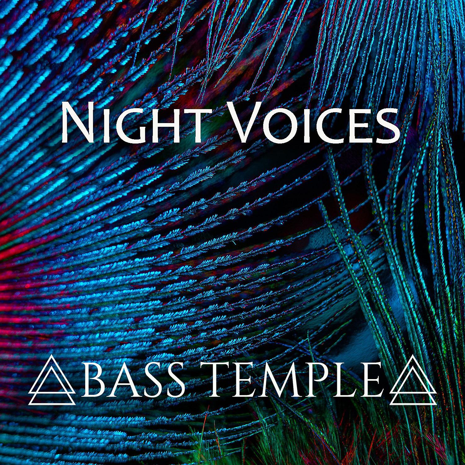 Постер альбома Night Voices