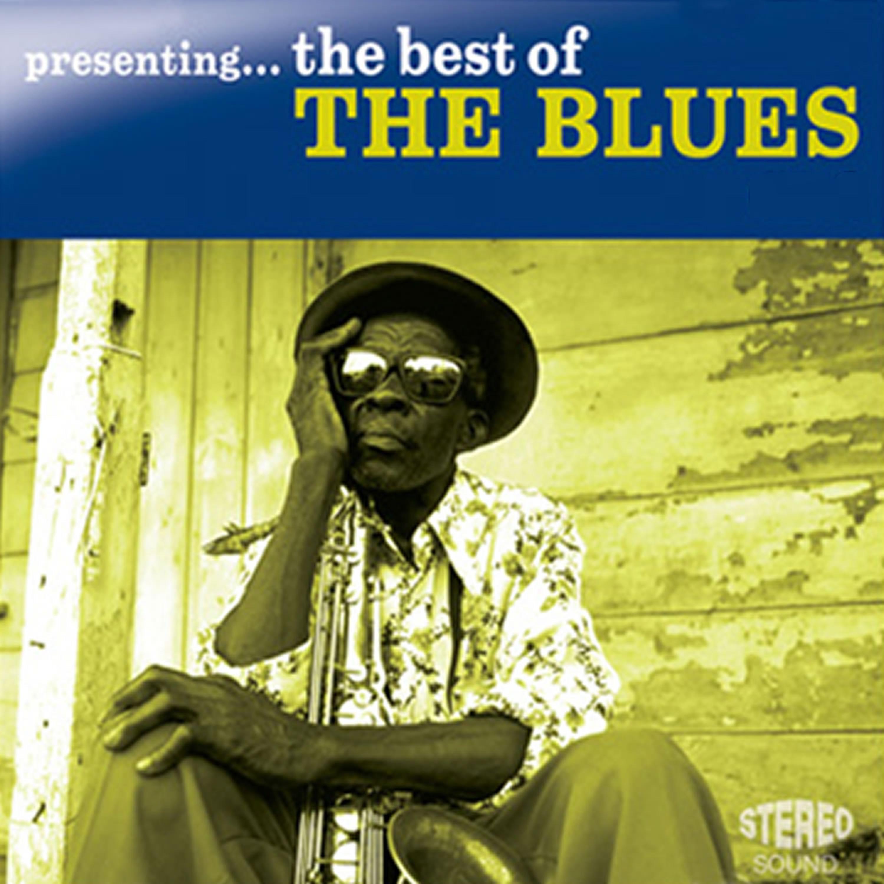 Постер альбома Presenting...The Best of the Blues - Vol. 2