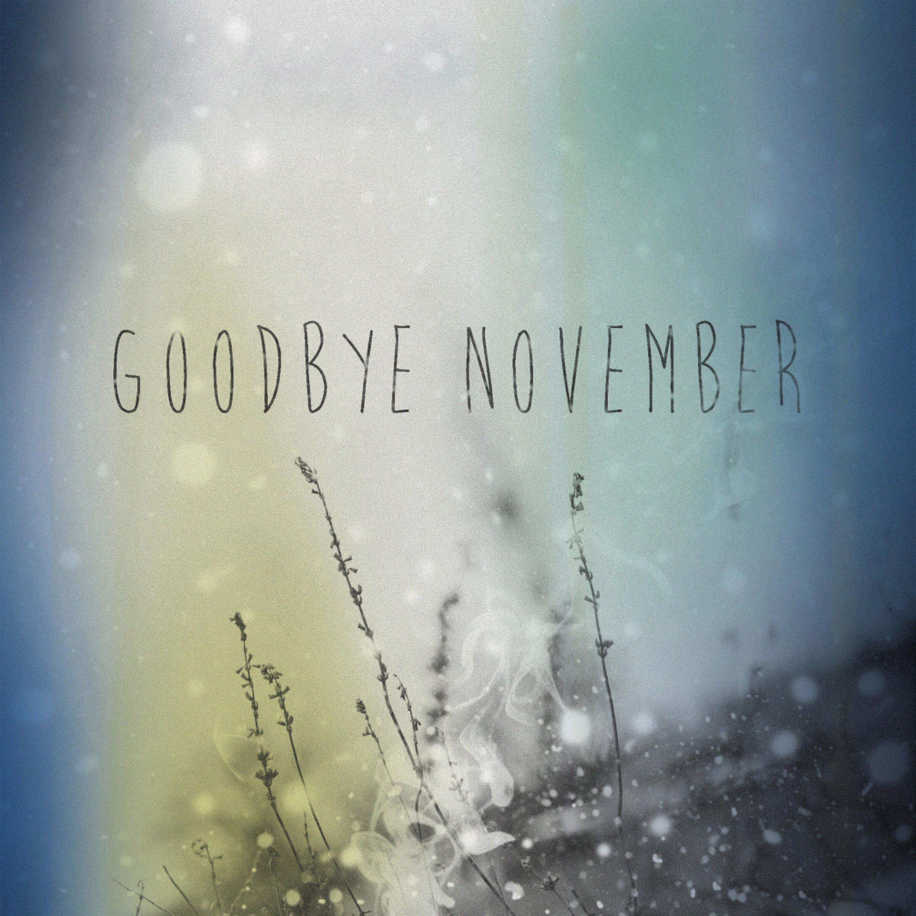 Постер альбома goodbye november