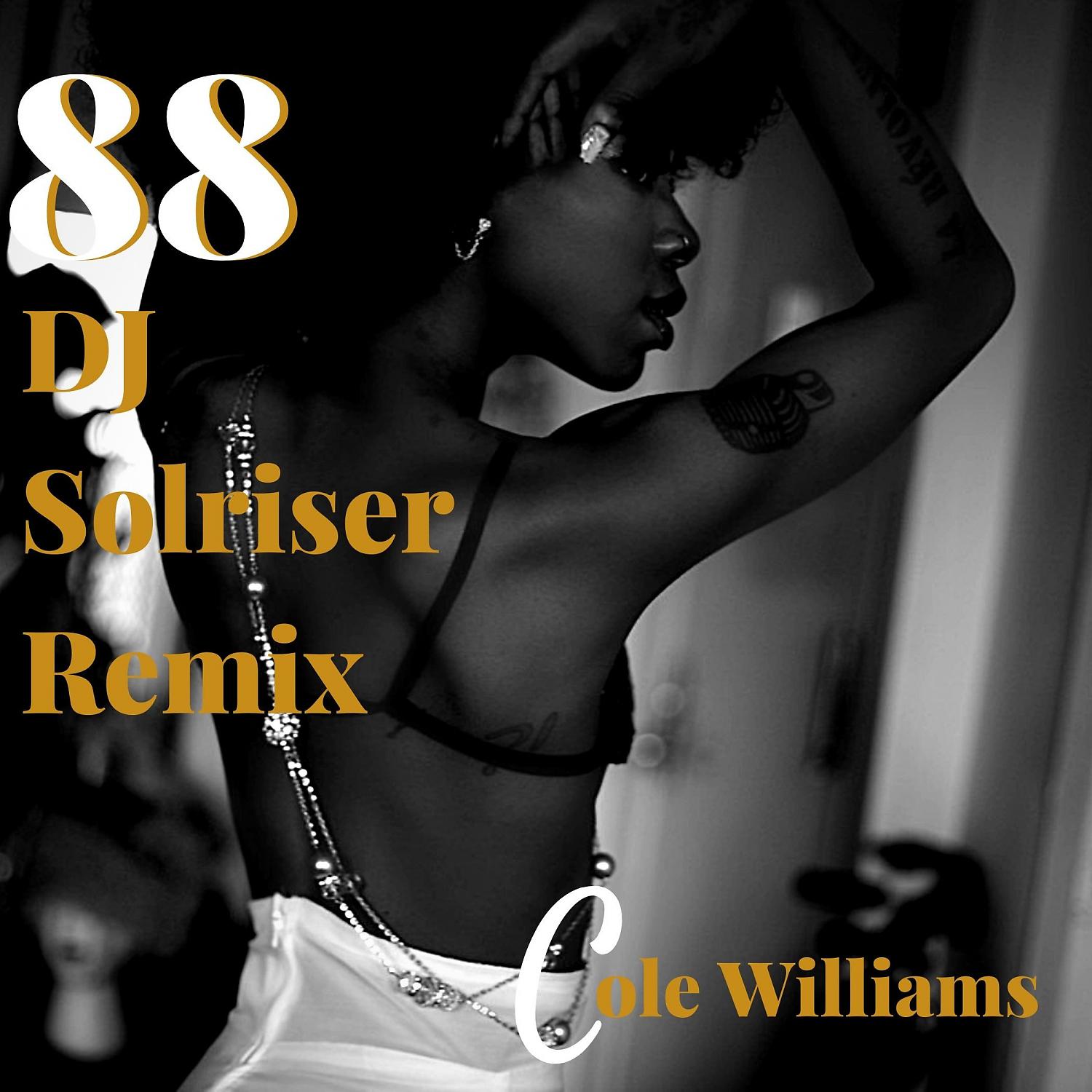 Постер альбома 88 (DJ Soulriser Remix)