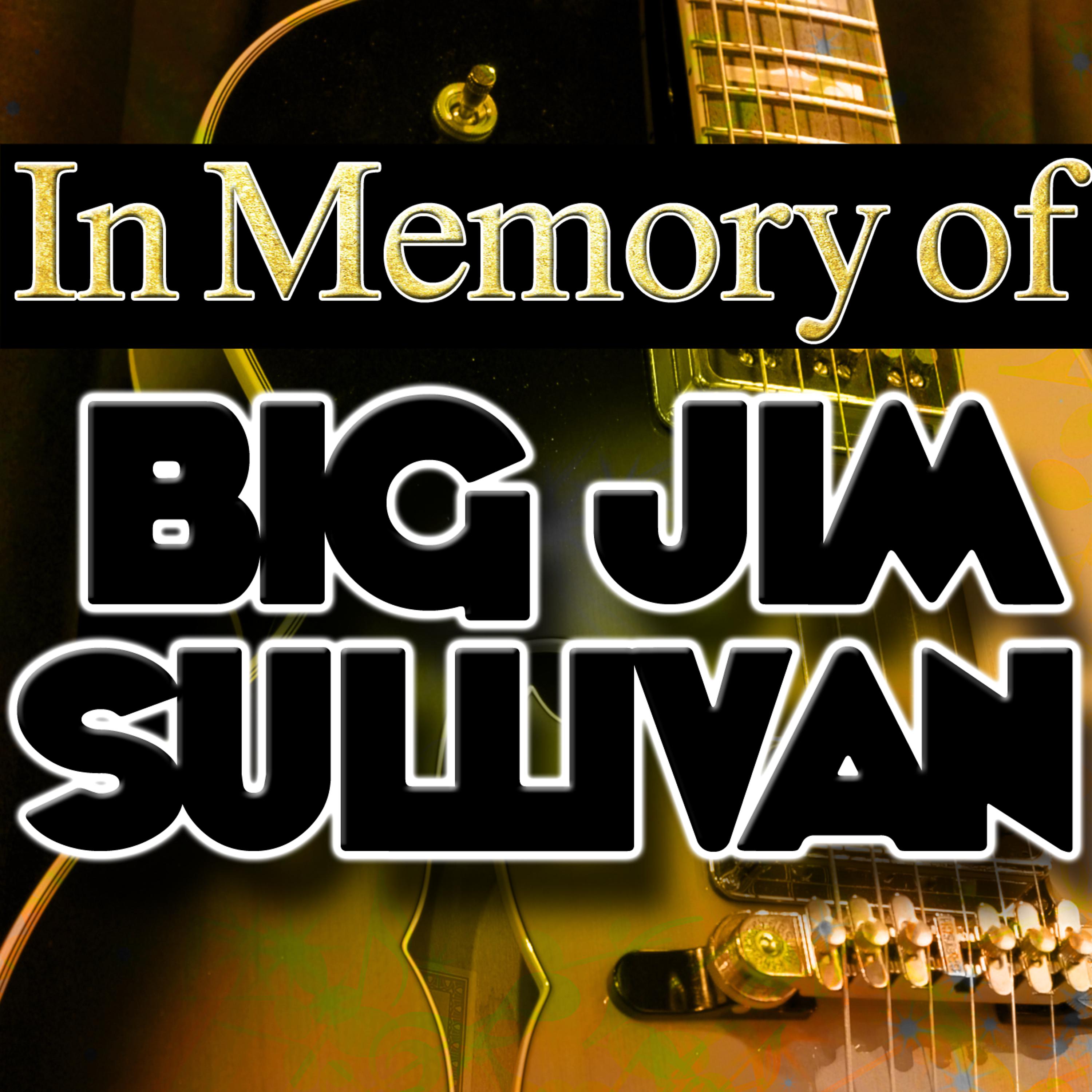 Постер альбома In Memory of Big Jim Sullivan