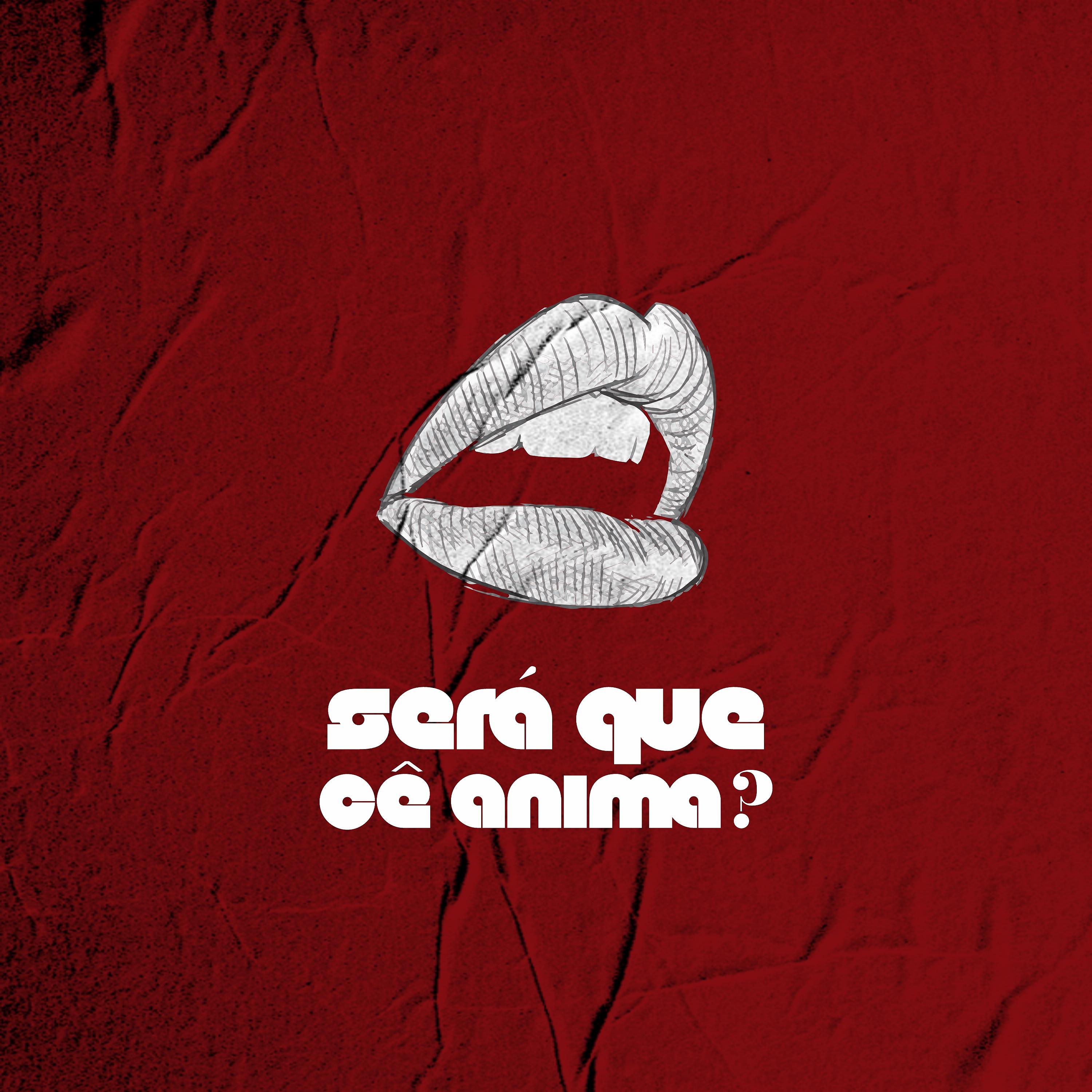 Постер альбома Será Que Cê Anima ?