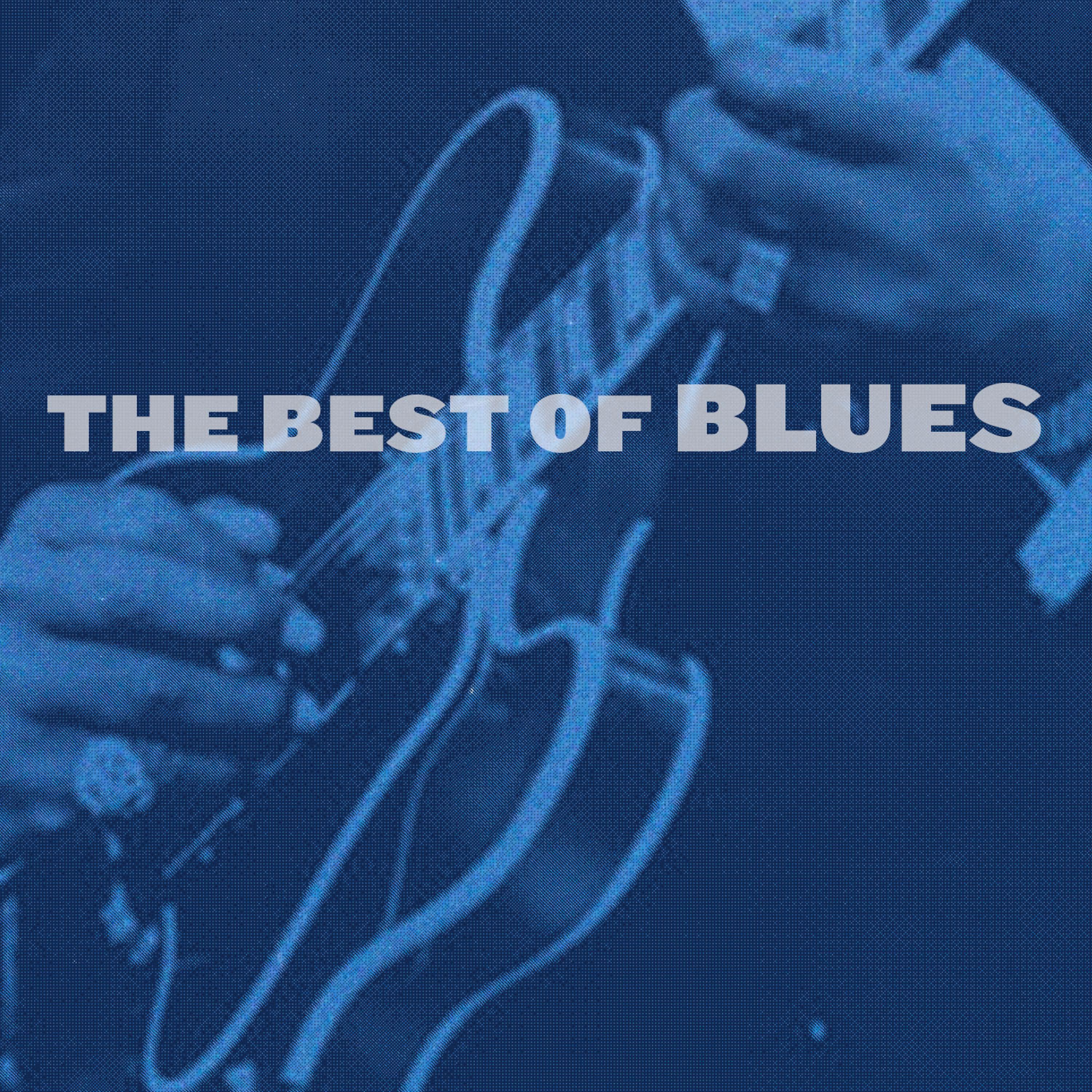 Постер альбома The Best of the Blues