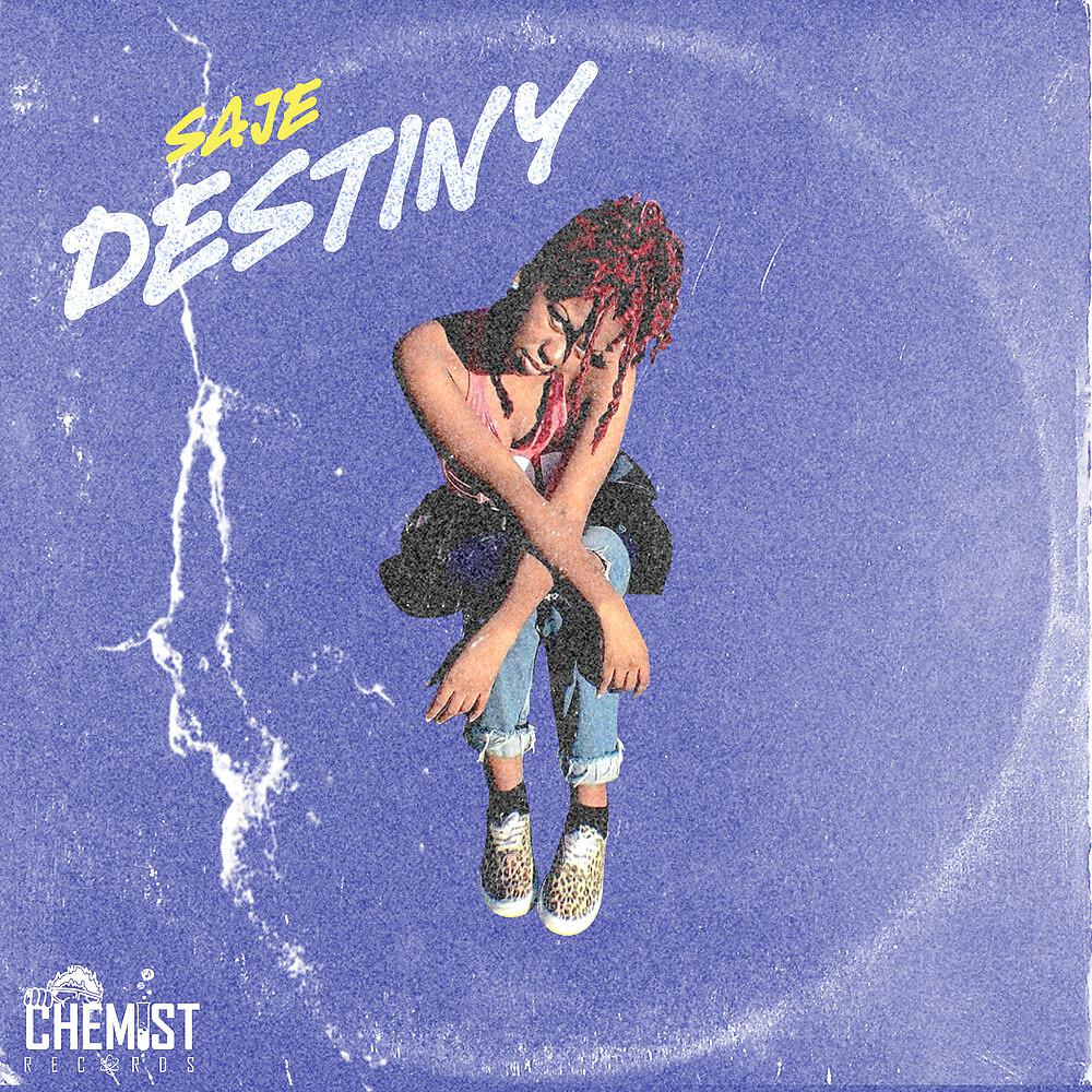 Постер альбома Destiny