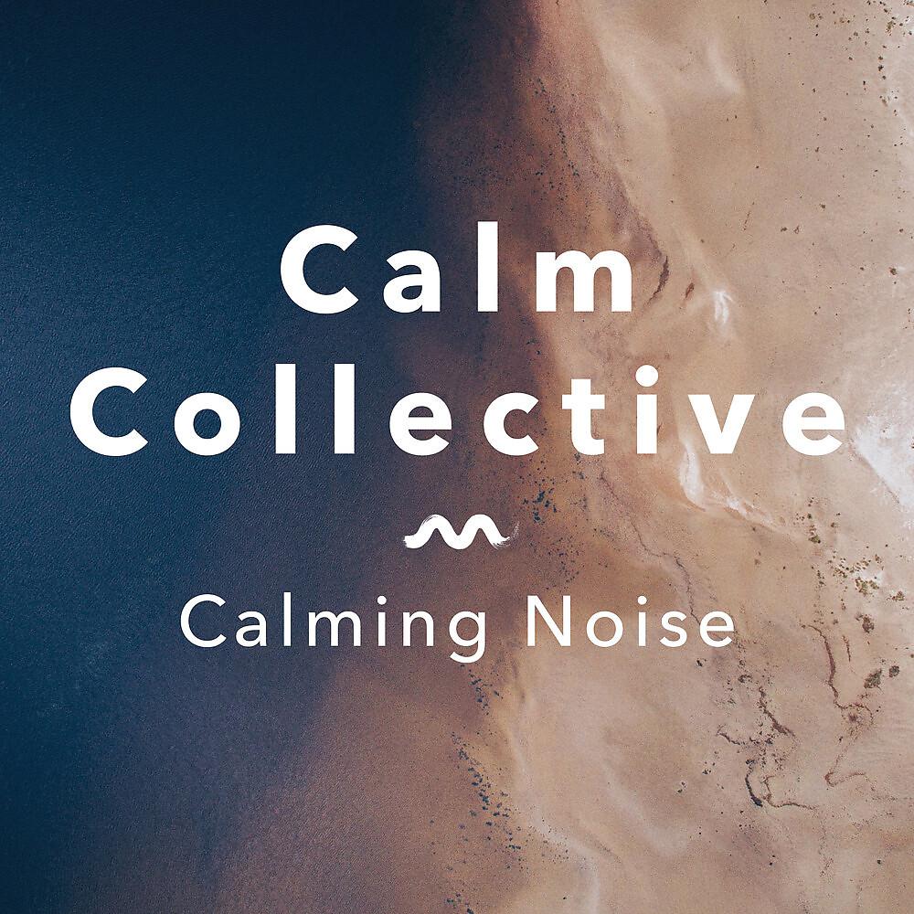 Постер альбома Calming Noise