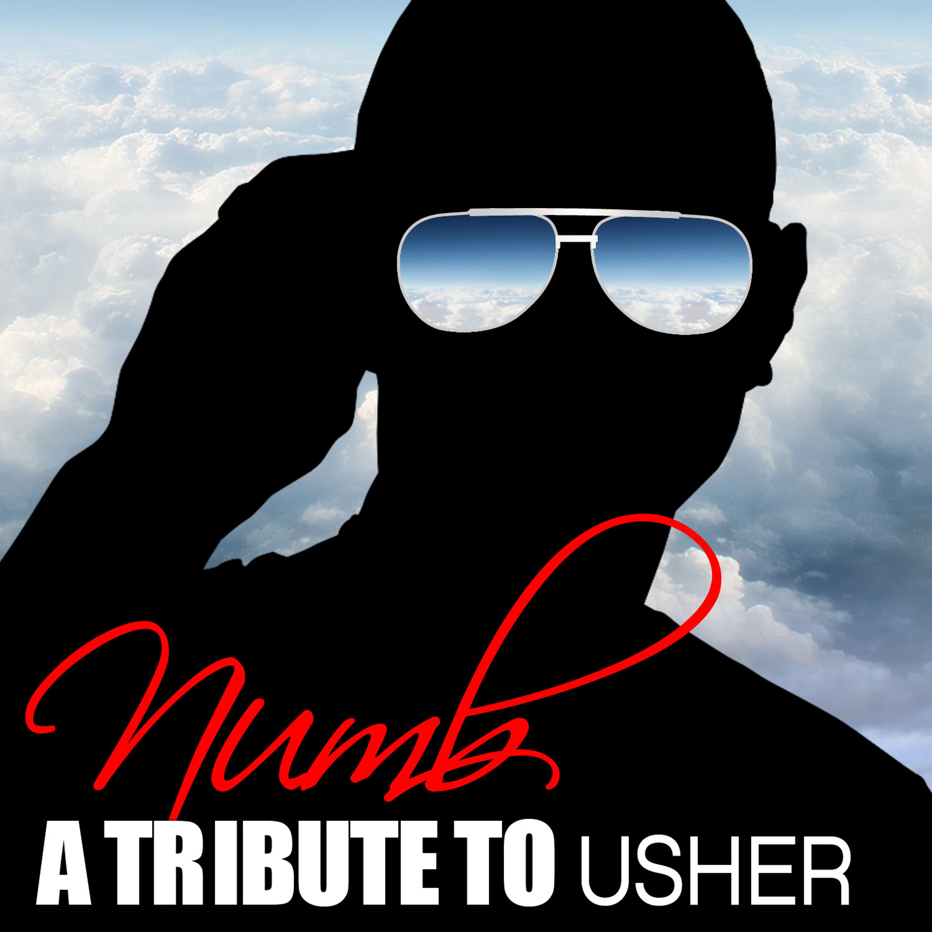 Постер альбома Numb - A Tribute to Usher