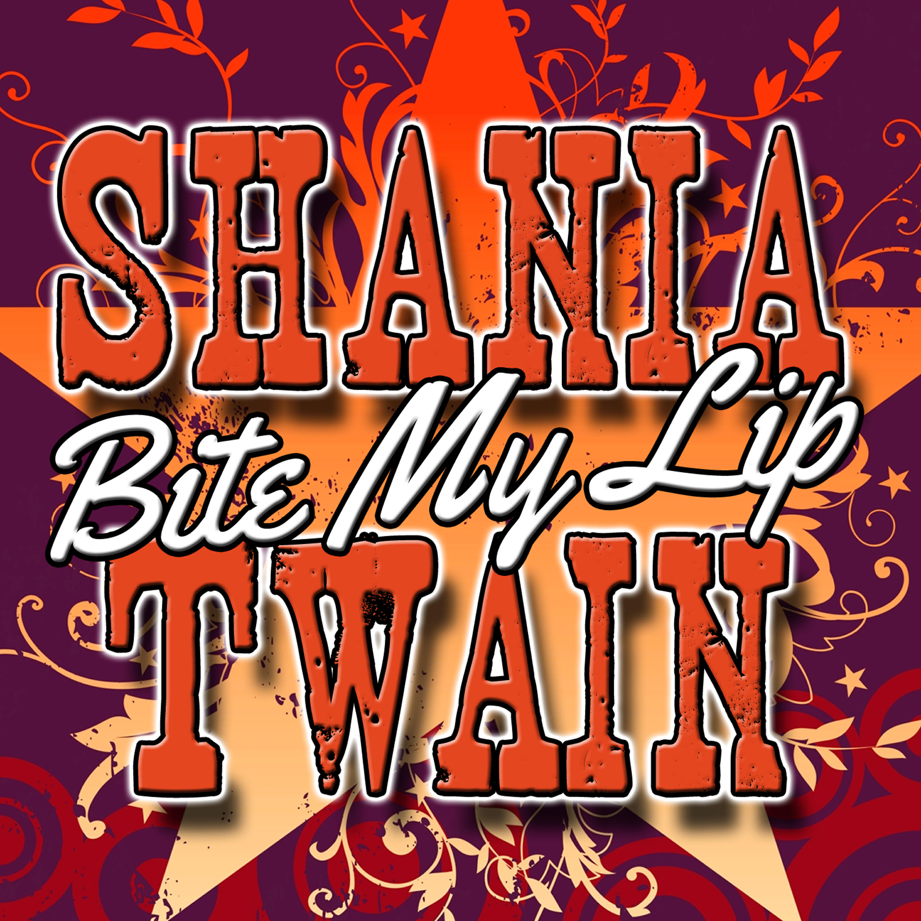 Shania Twain - Don't Gimme That Once Over