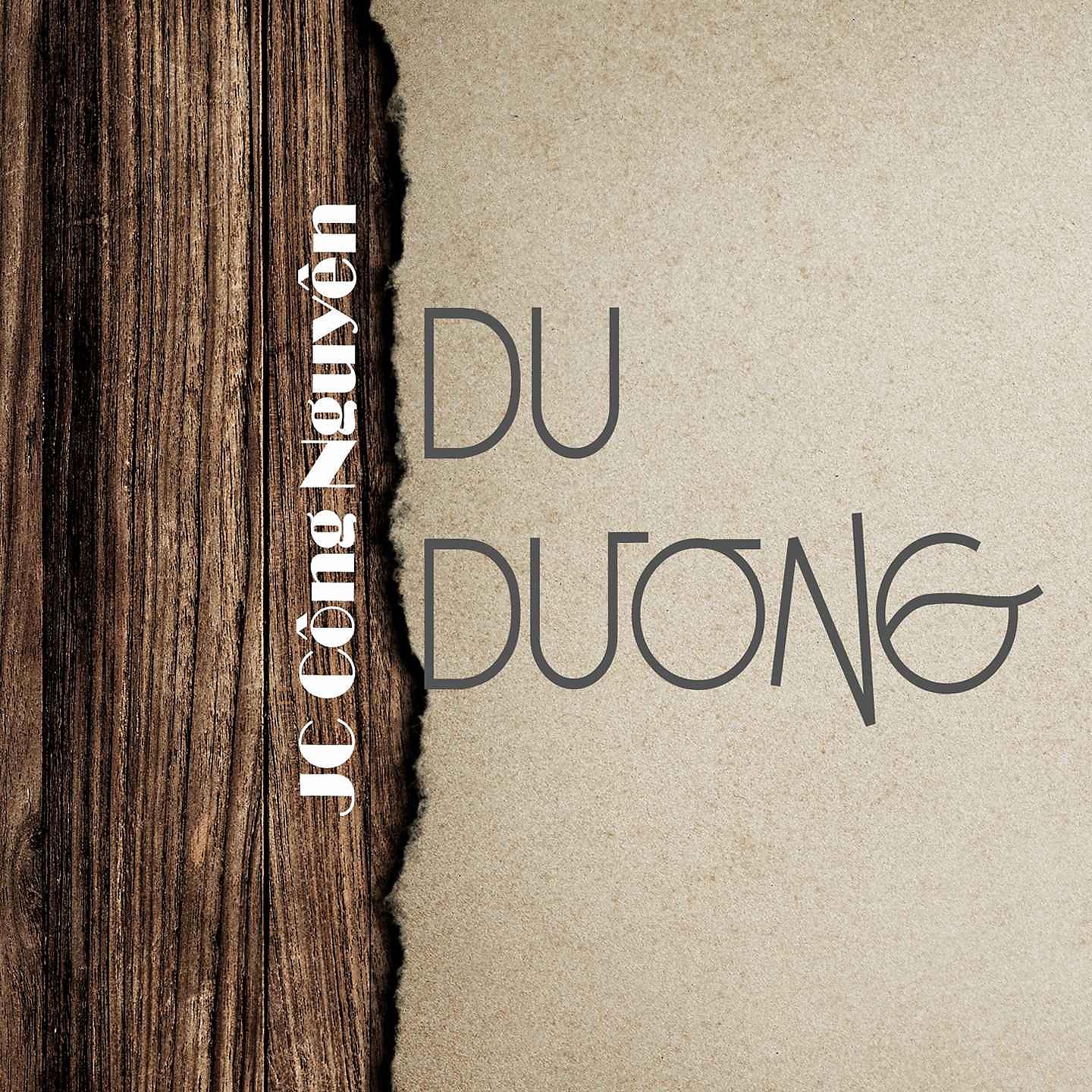 Постер альбома Du Dương